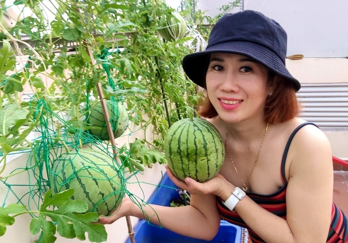 Me don than o TP.HCM trong nho, mia tren san thuong hinh anh