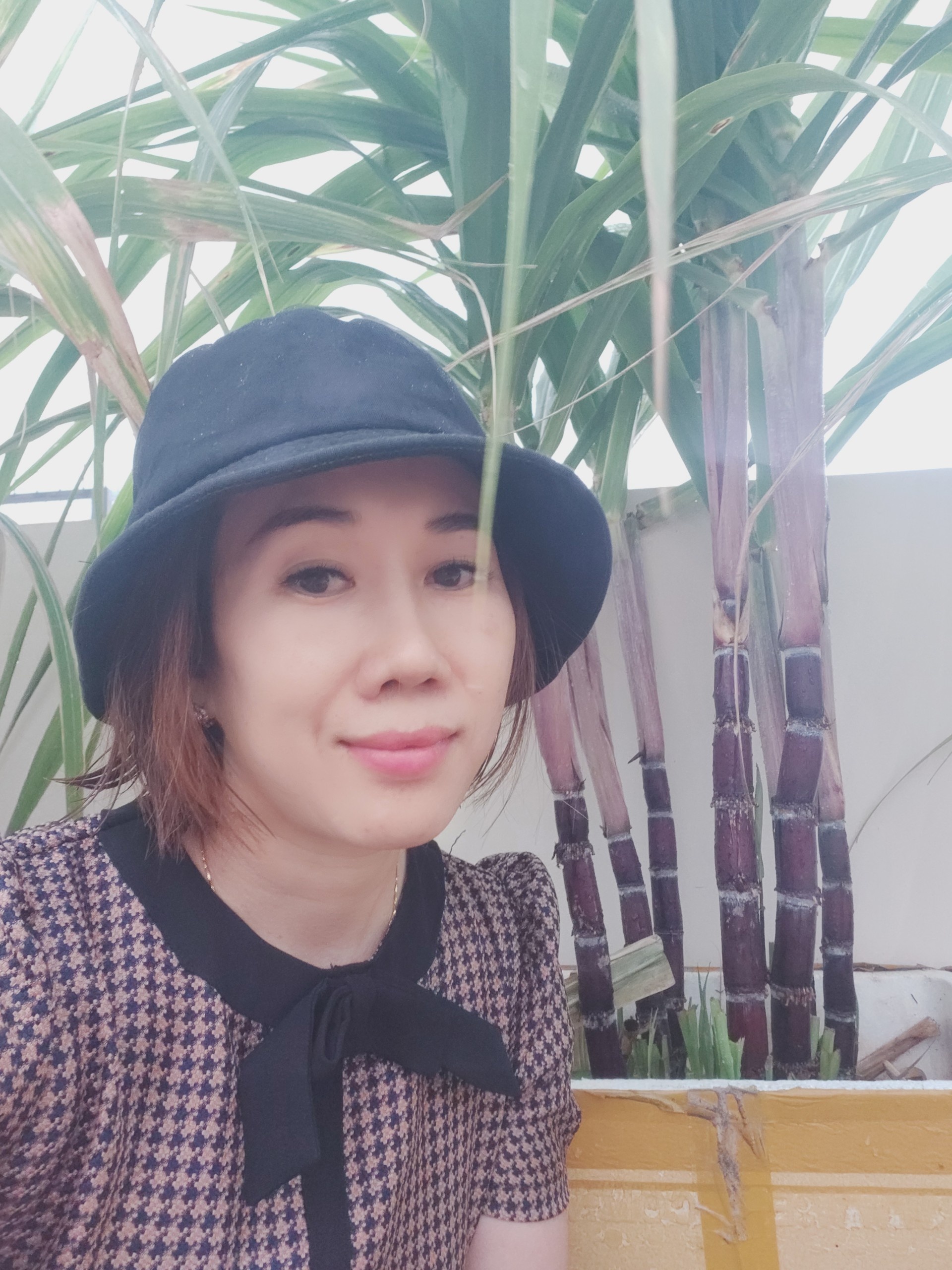 Vuon san thuong anh 2