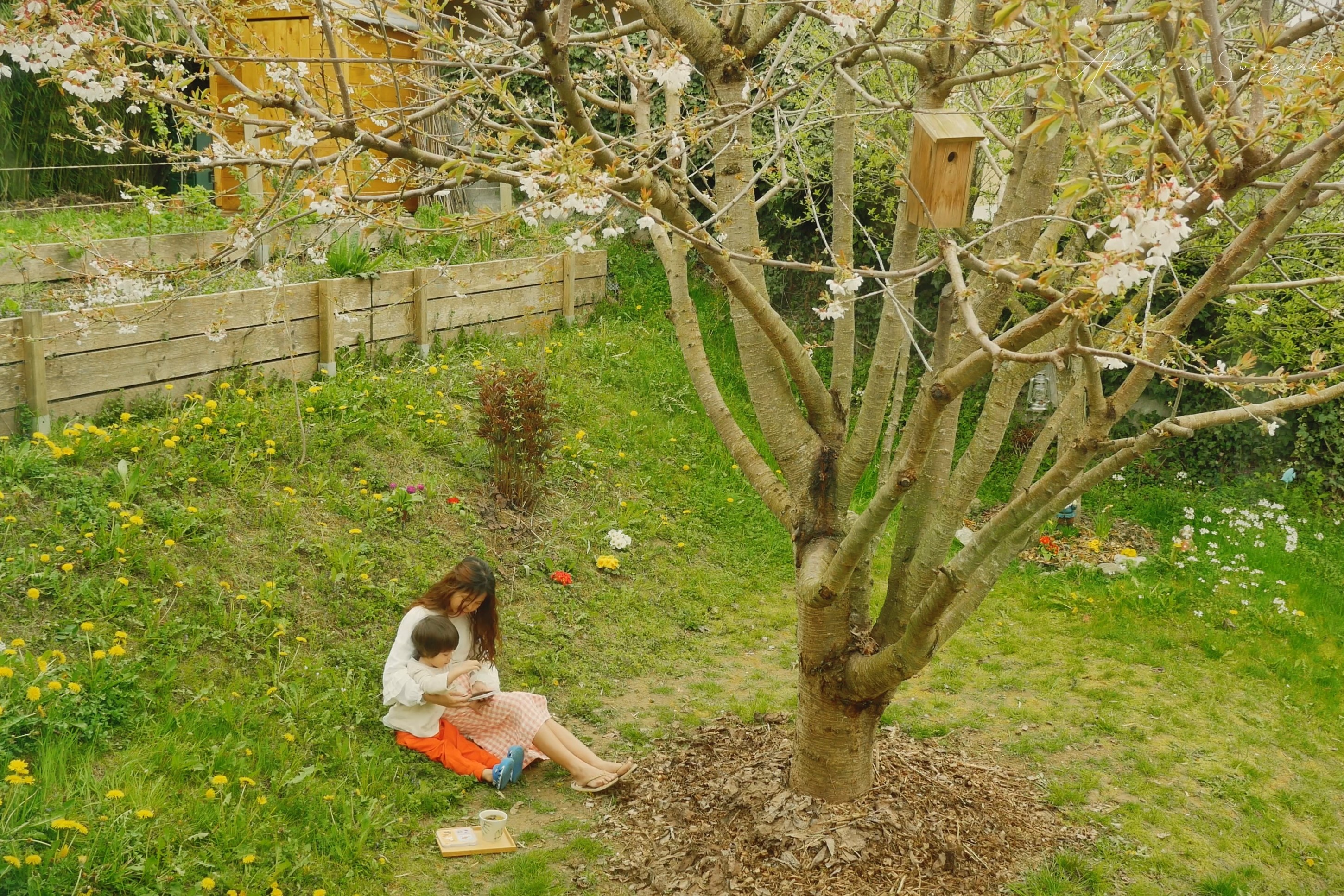 Bo pho ve que anh 12