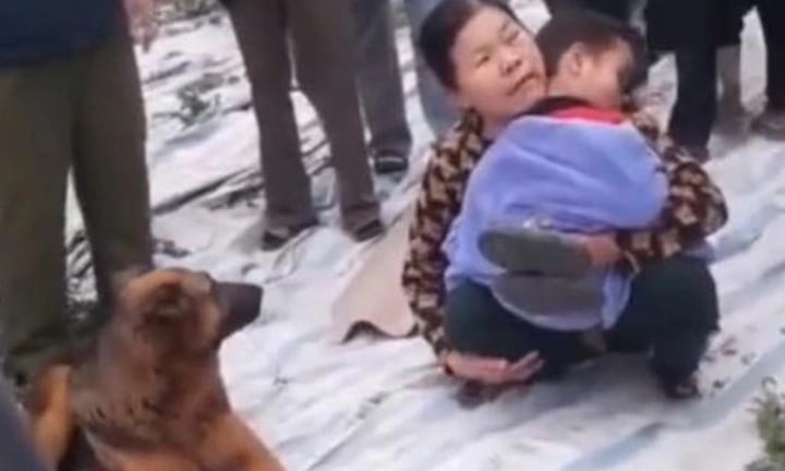 Be trai di lac o bo song, duoc chu cho trung thanh bao ve suot dem hinh anh