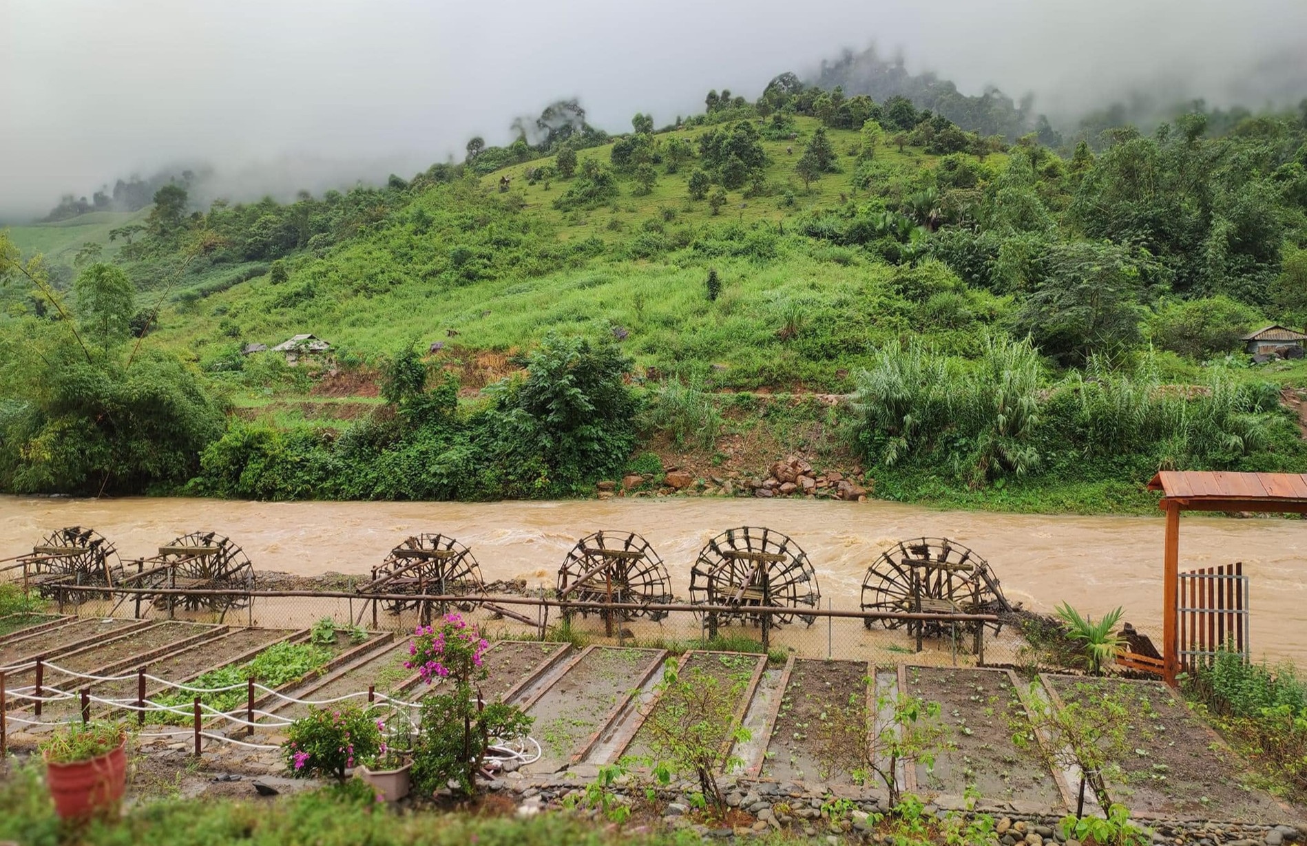 xay nha tren doi anh 5