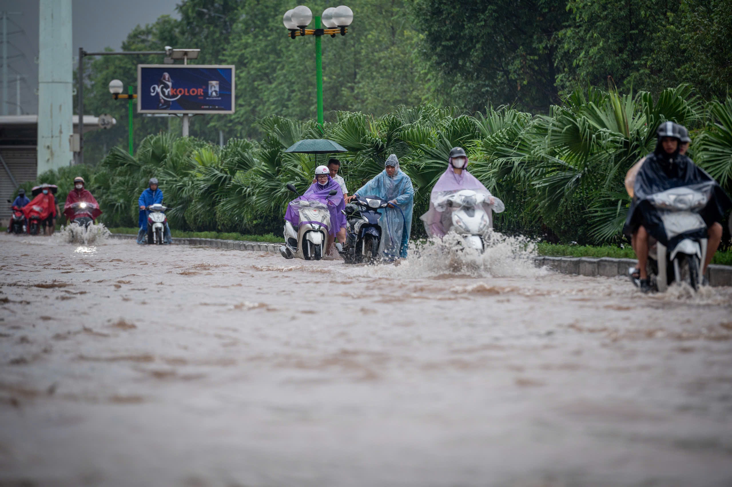 mưa ảnh 6 mưa ảnh 6