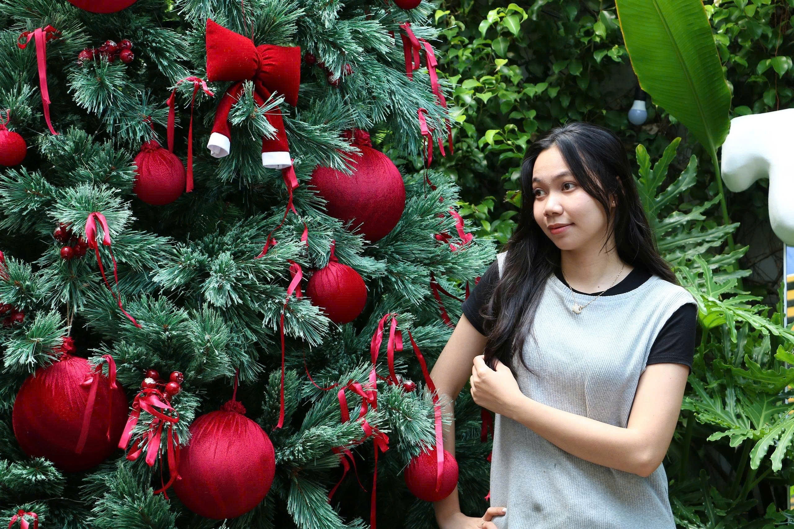 Noel ảnh 12