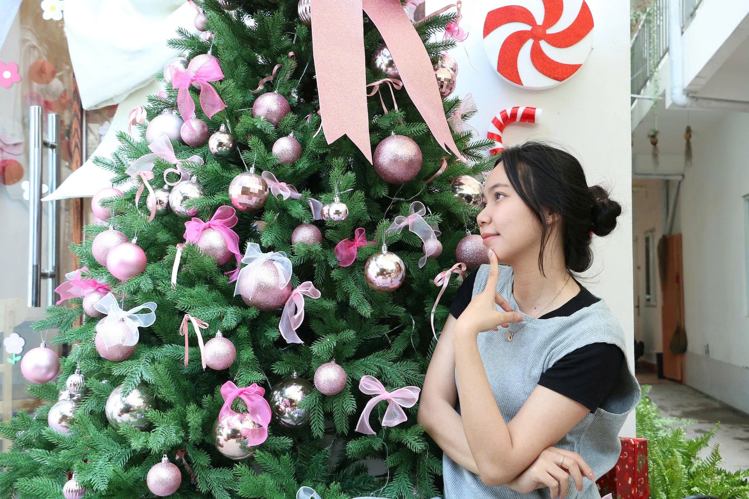 Noel ảnh 10