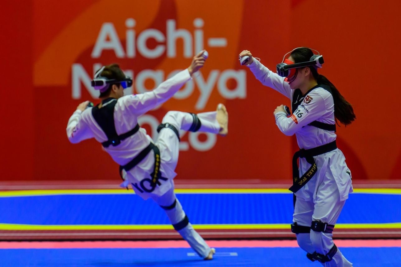 taekwondo ảnh 2
