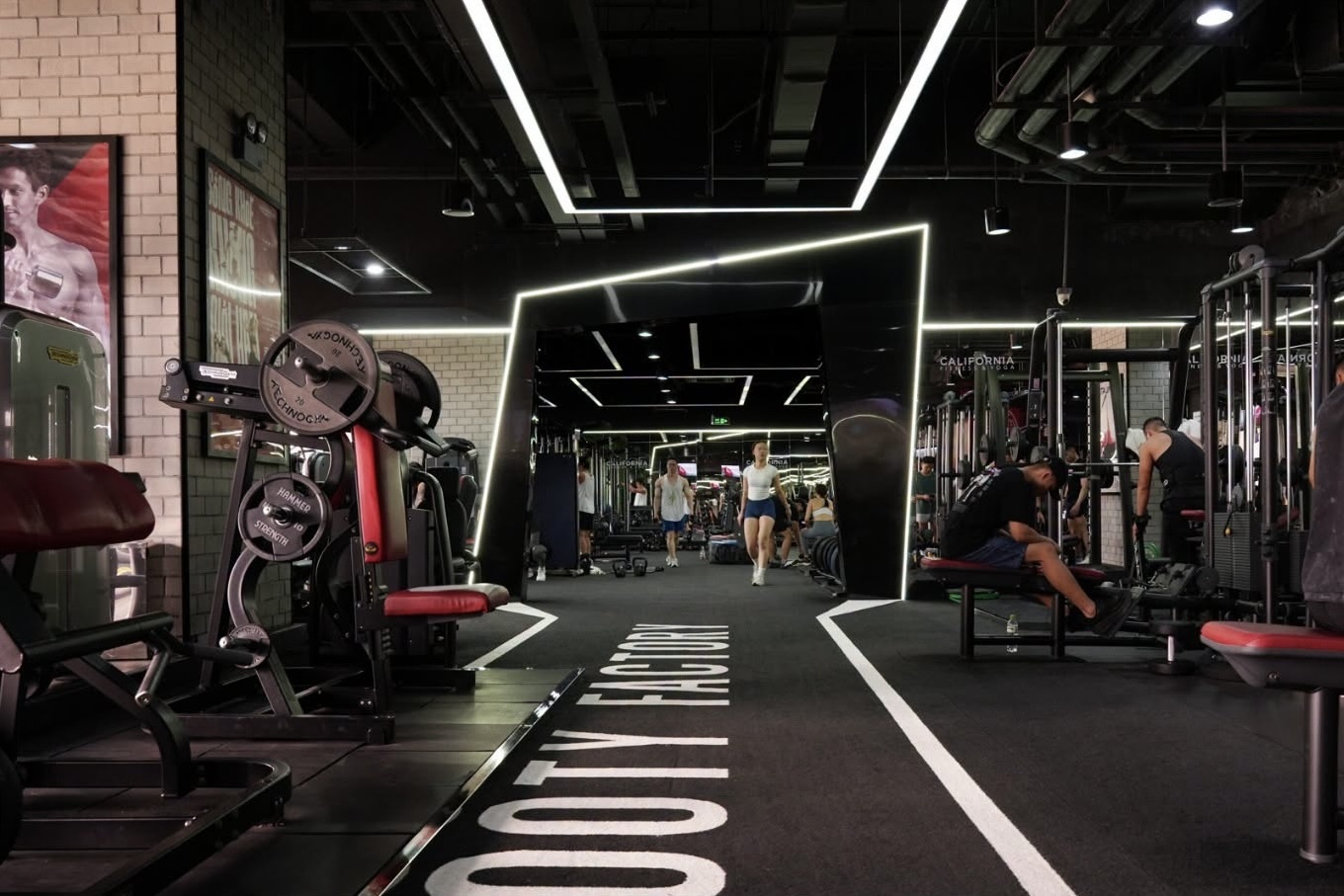 gym ảnh 4