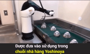 Robot phan loai va up bat trong nha hang Nhat hinh anh