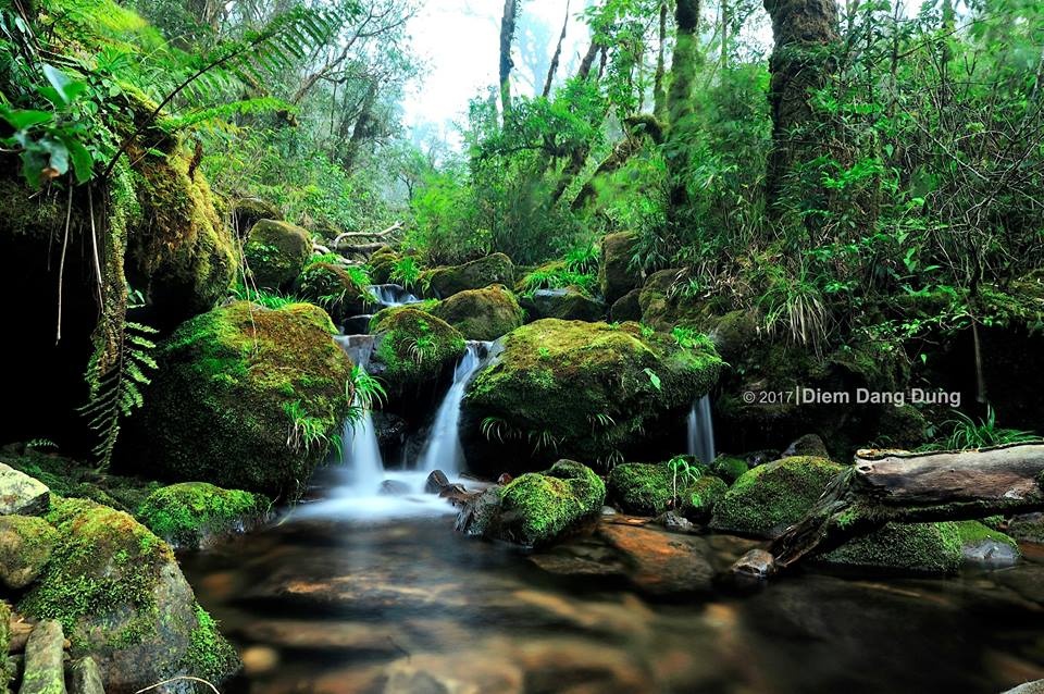 Chinh phục đỉnh Putaleng ảnh 2 Chinh phuc dinh Putaleng anh 2