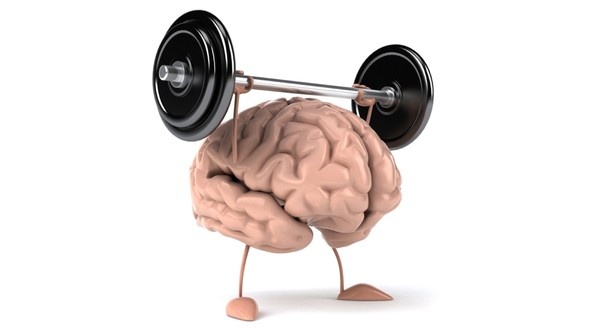 9 su that thu vi ve bo nao hinh anh