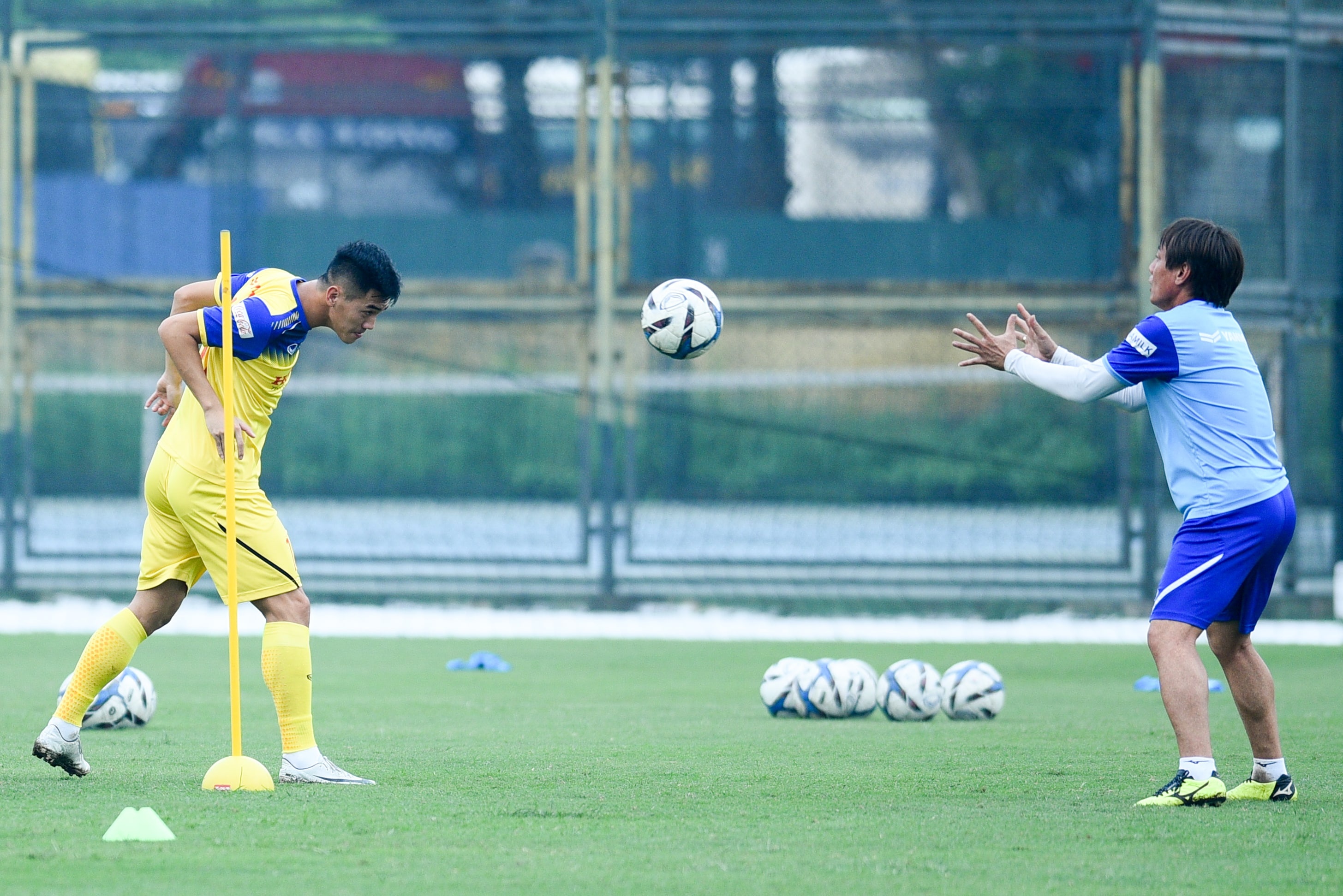 Trong Dai chan thuong anh 8