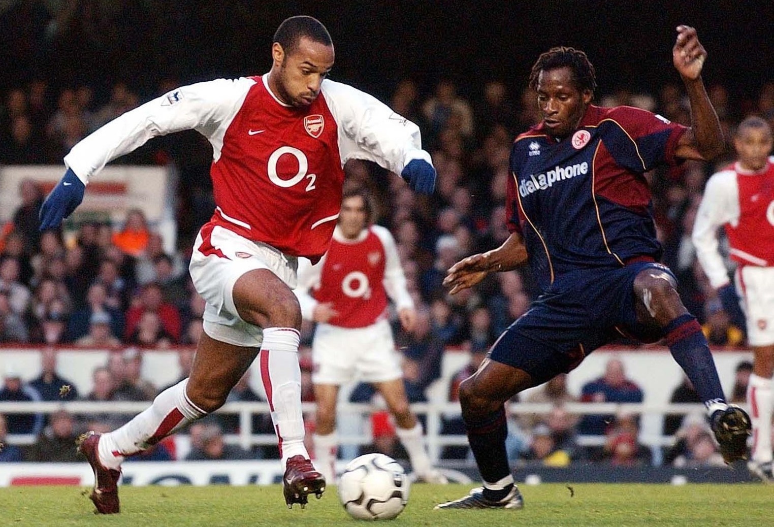 Bale da hau ve canh anh 7