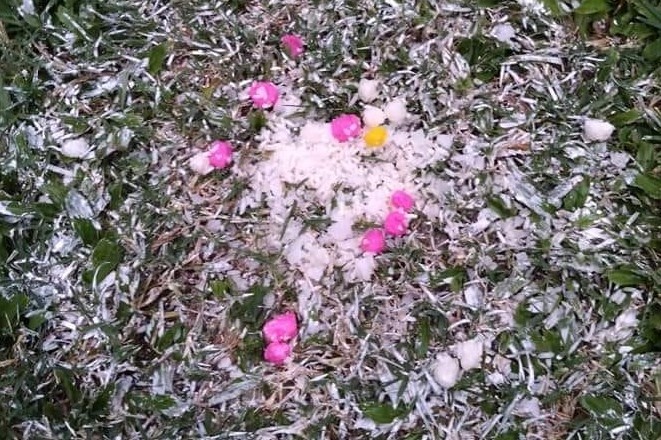 Quang Nam yem bua san Thien Truong anh 1