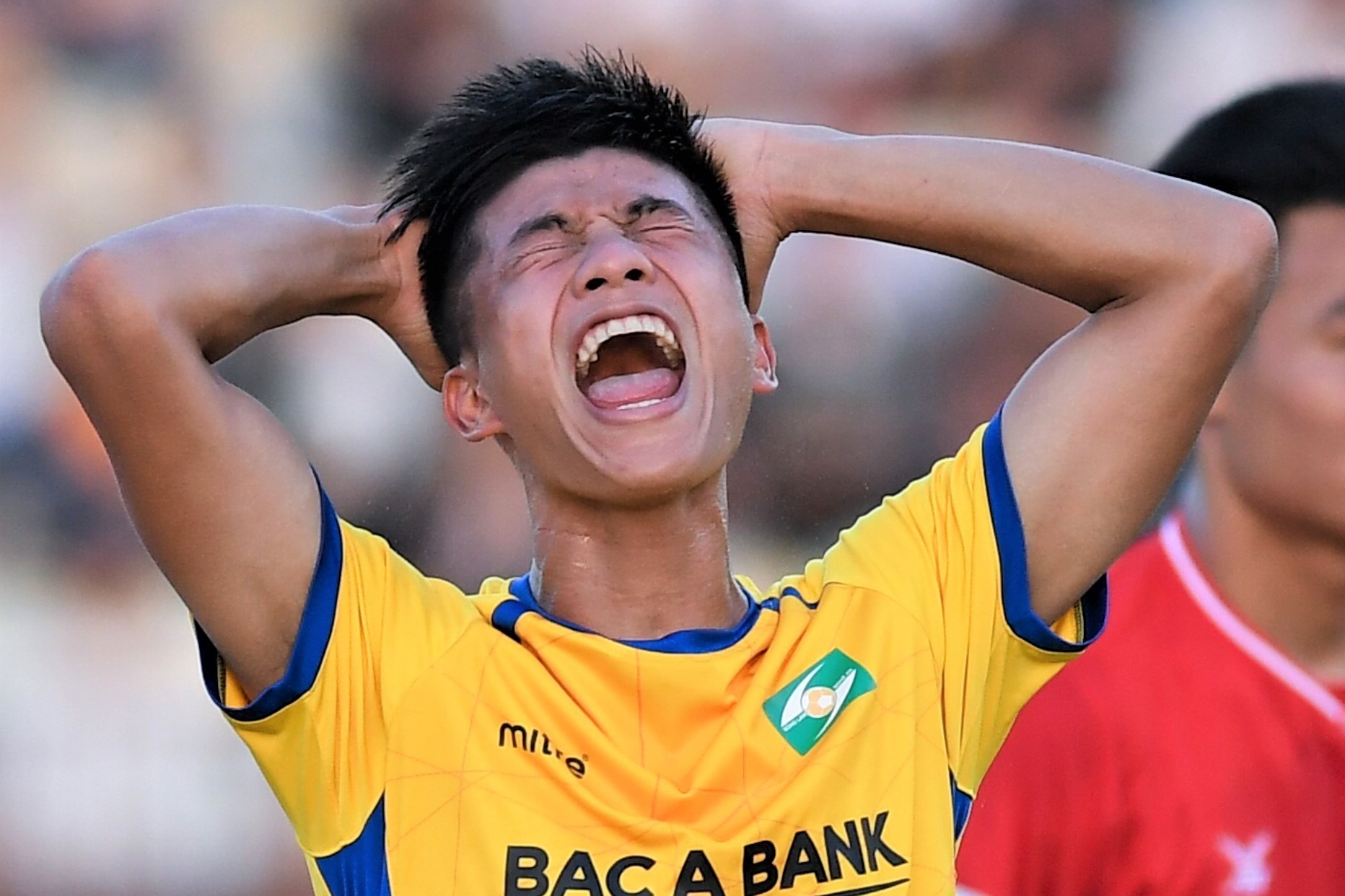 Van Duc tit ngoi anh 1