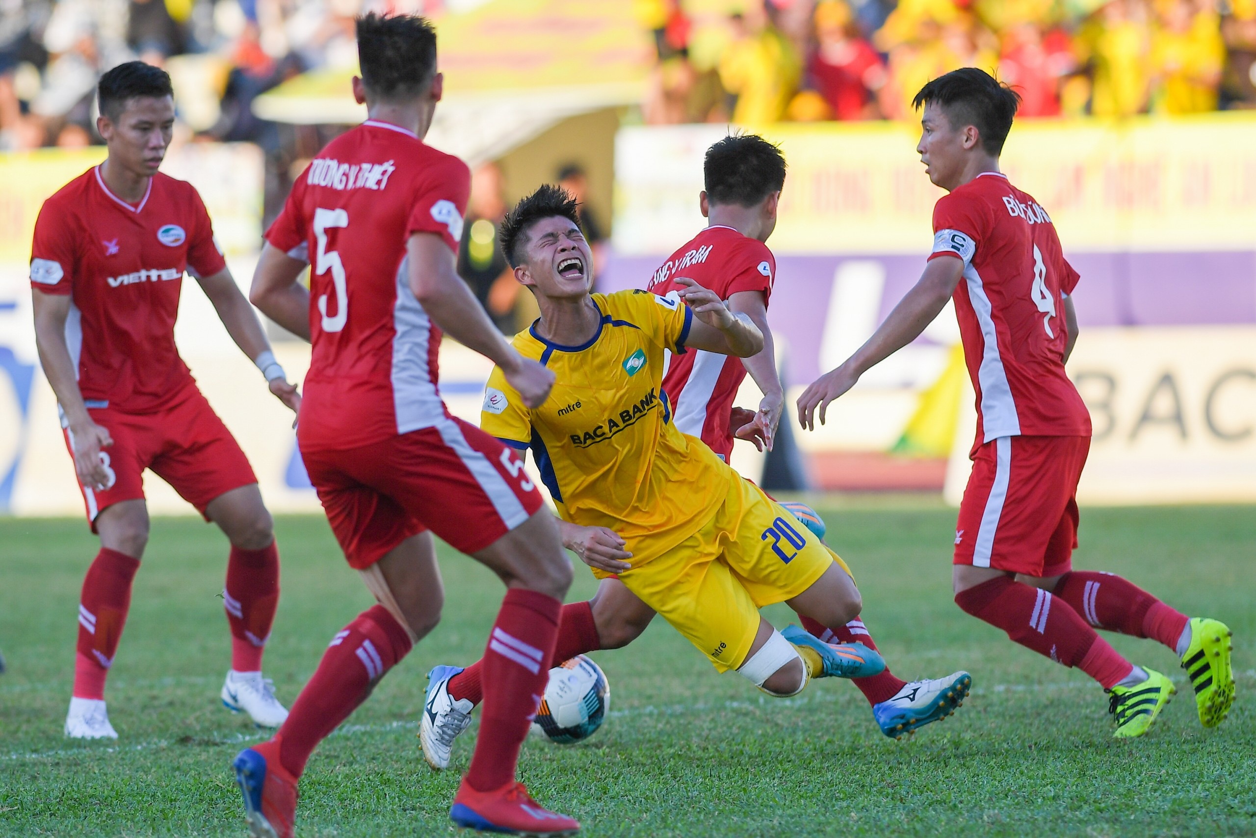 Van Duc tit ngoi anh 4