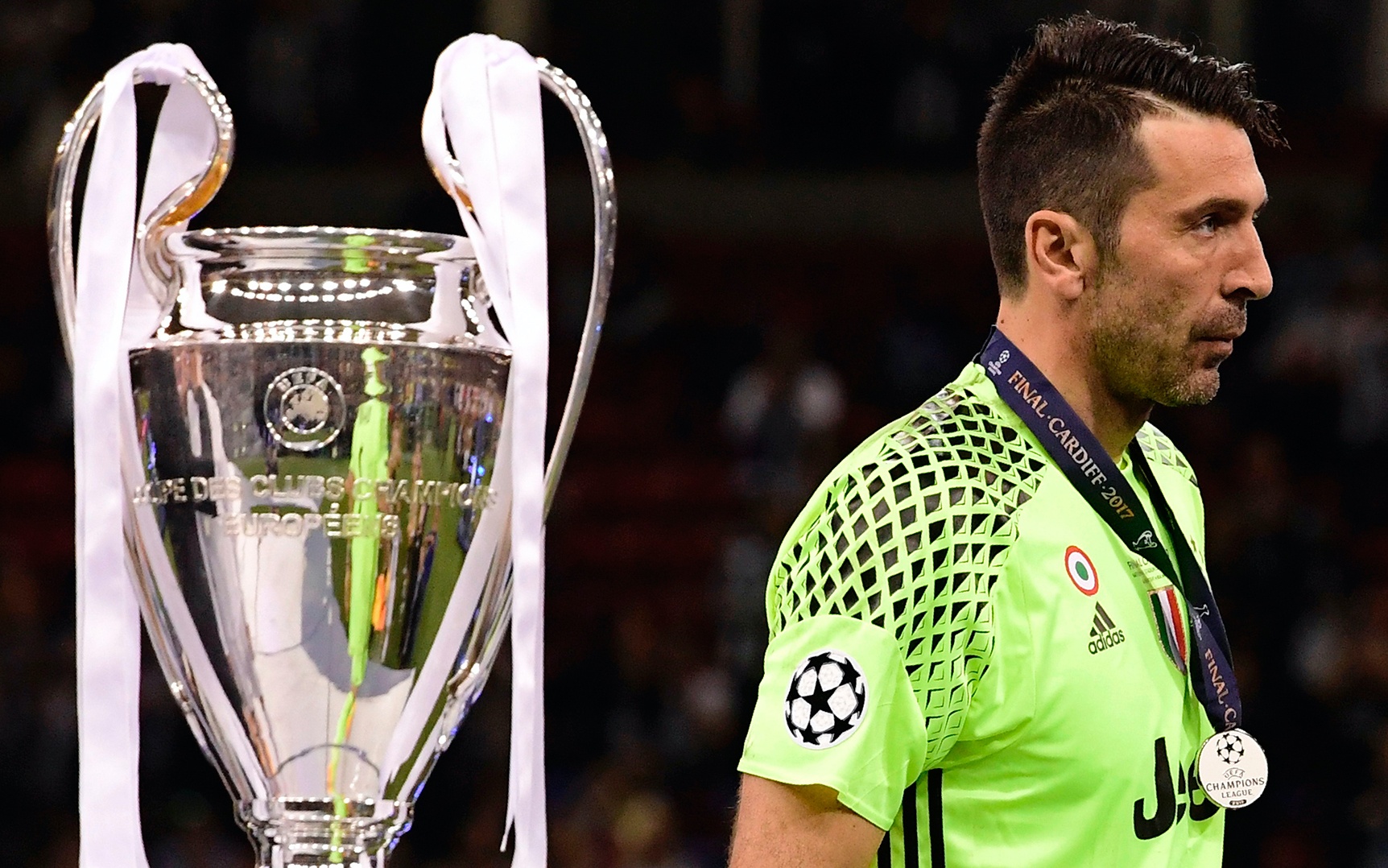 Ibrahimovic giai nghe anh 12