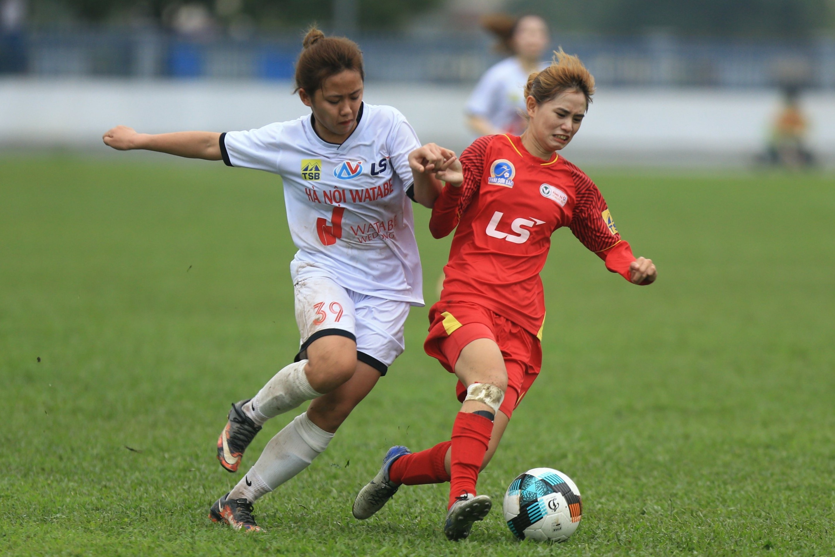 Tuyển nữ Việt Nam ảnh 1 Tuyen nu Viet Nam anh 1