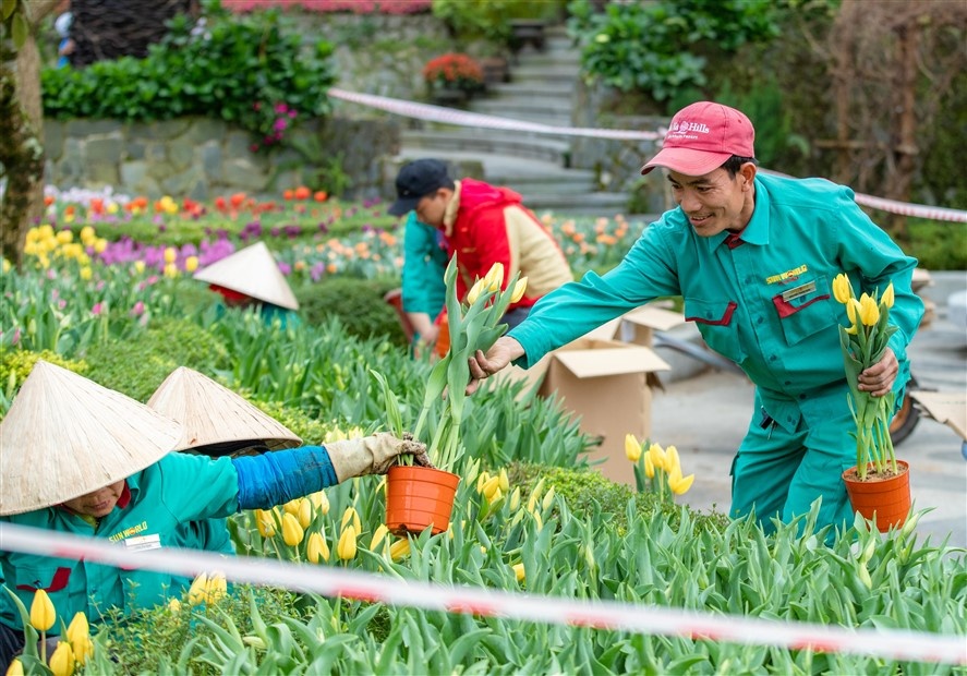 Tập đoàn Sun Group ảnh 3 Tap doan Sun Group anh 3