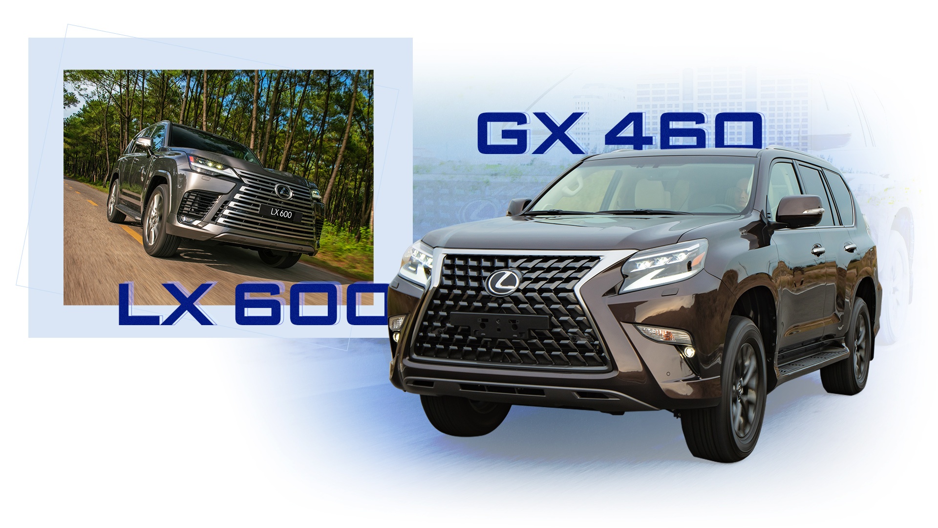 Giá Lexus lăn bánh ảnh 10 Gia Lexus lan banh anh 10