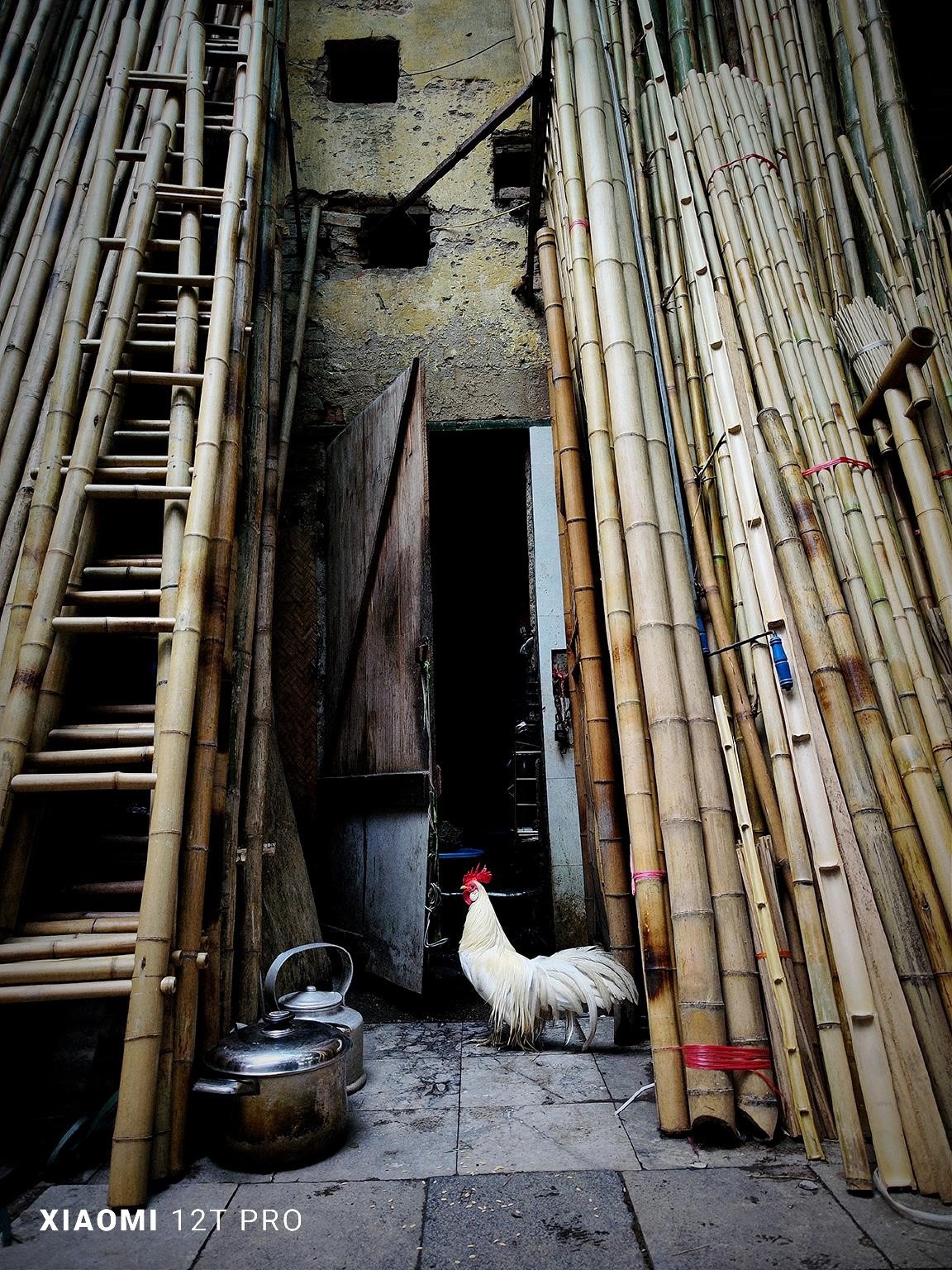 Xiaomi 12T series anh 7