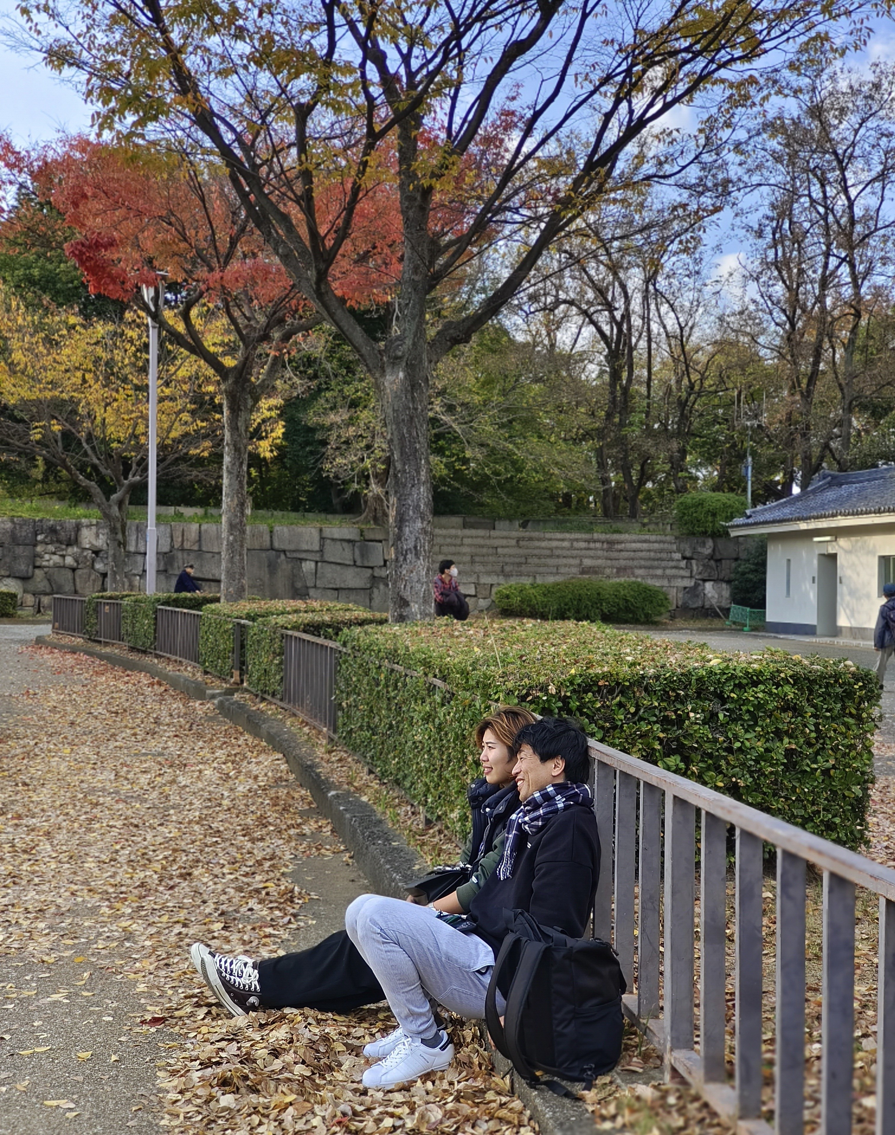 Smartphone vivo anh 10