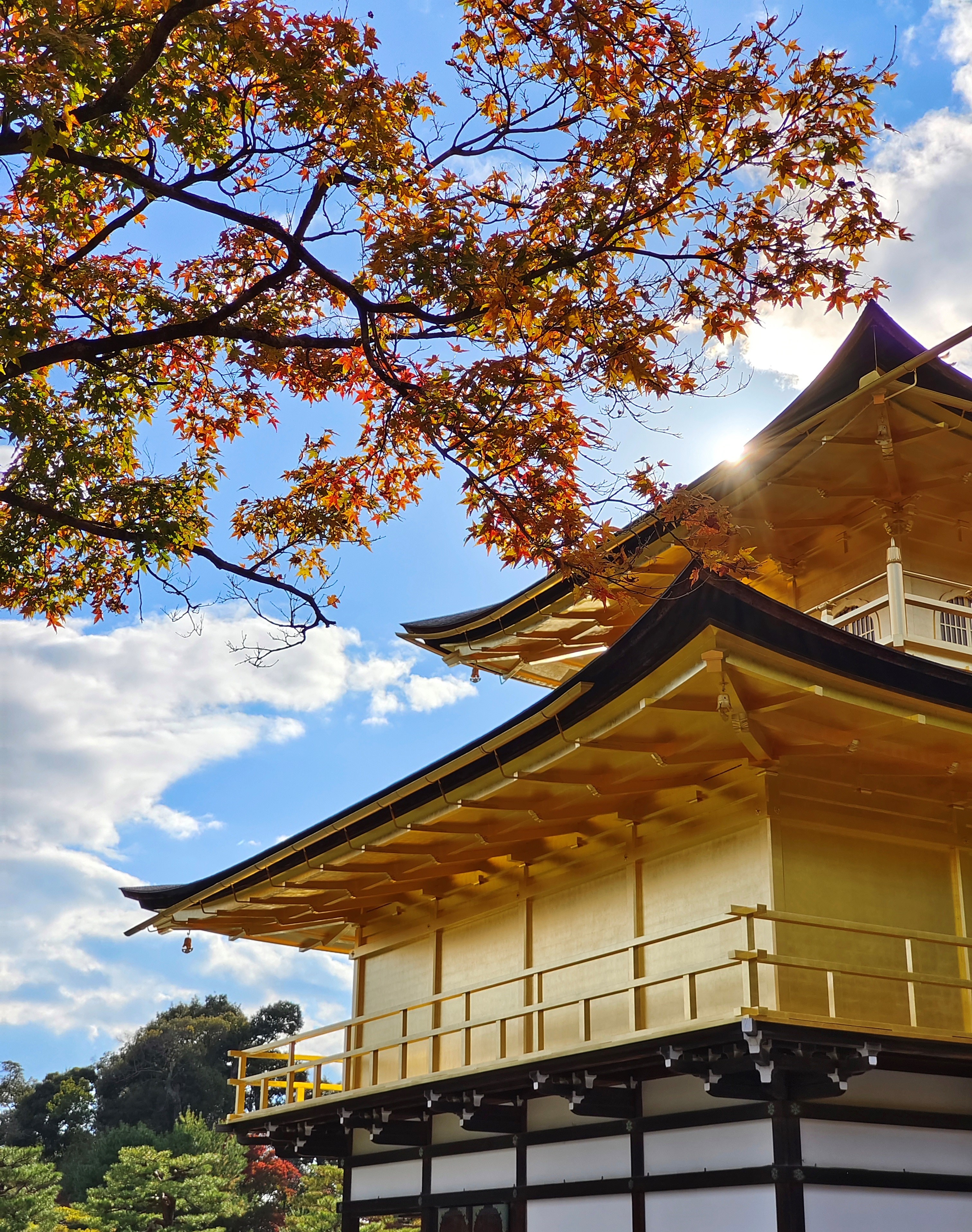 Smartphone vivo anh 4