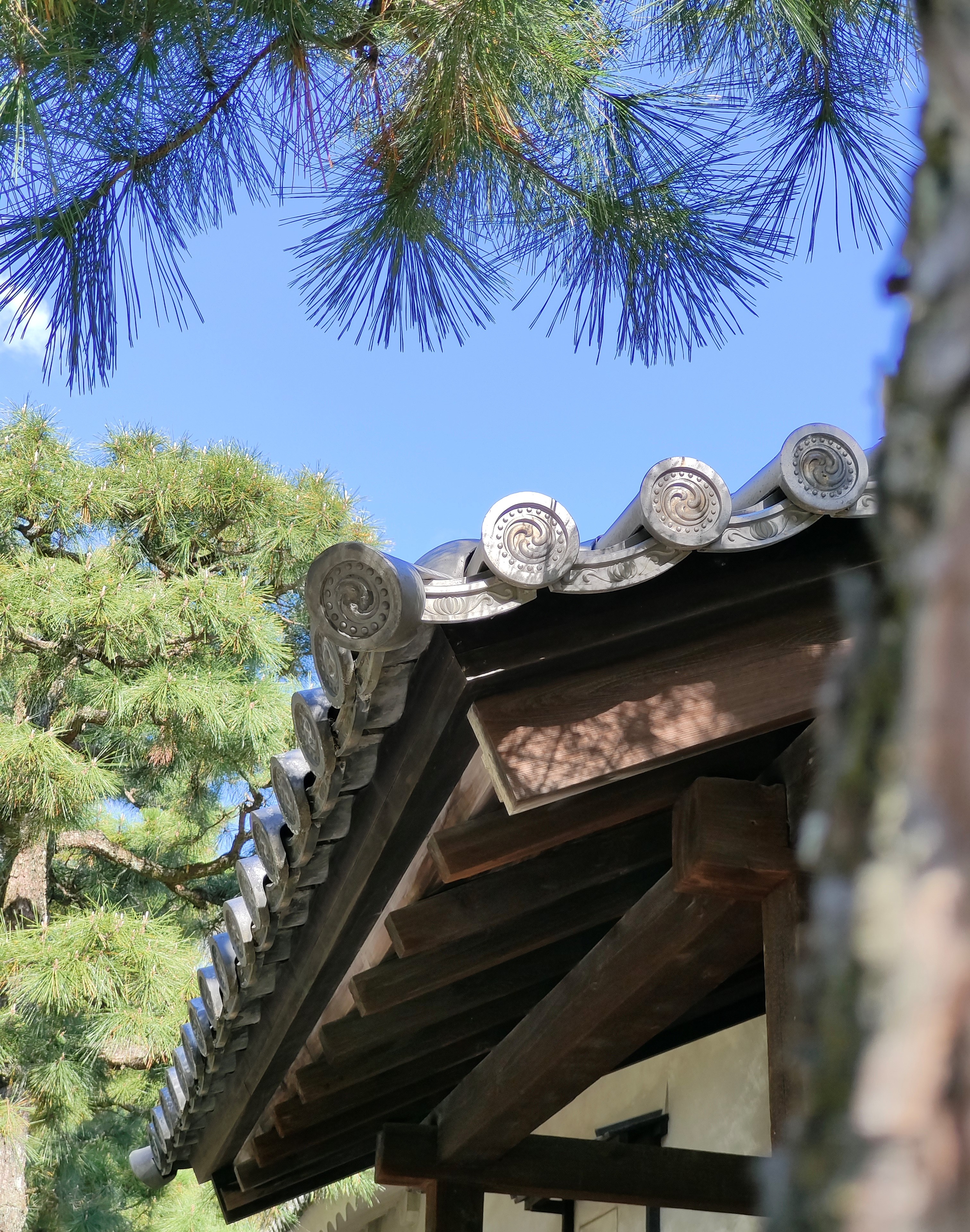 Smartphone vivo anh 6