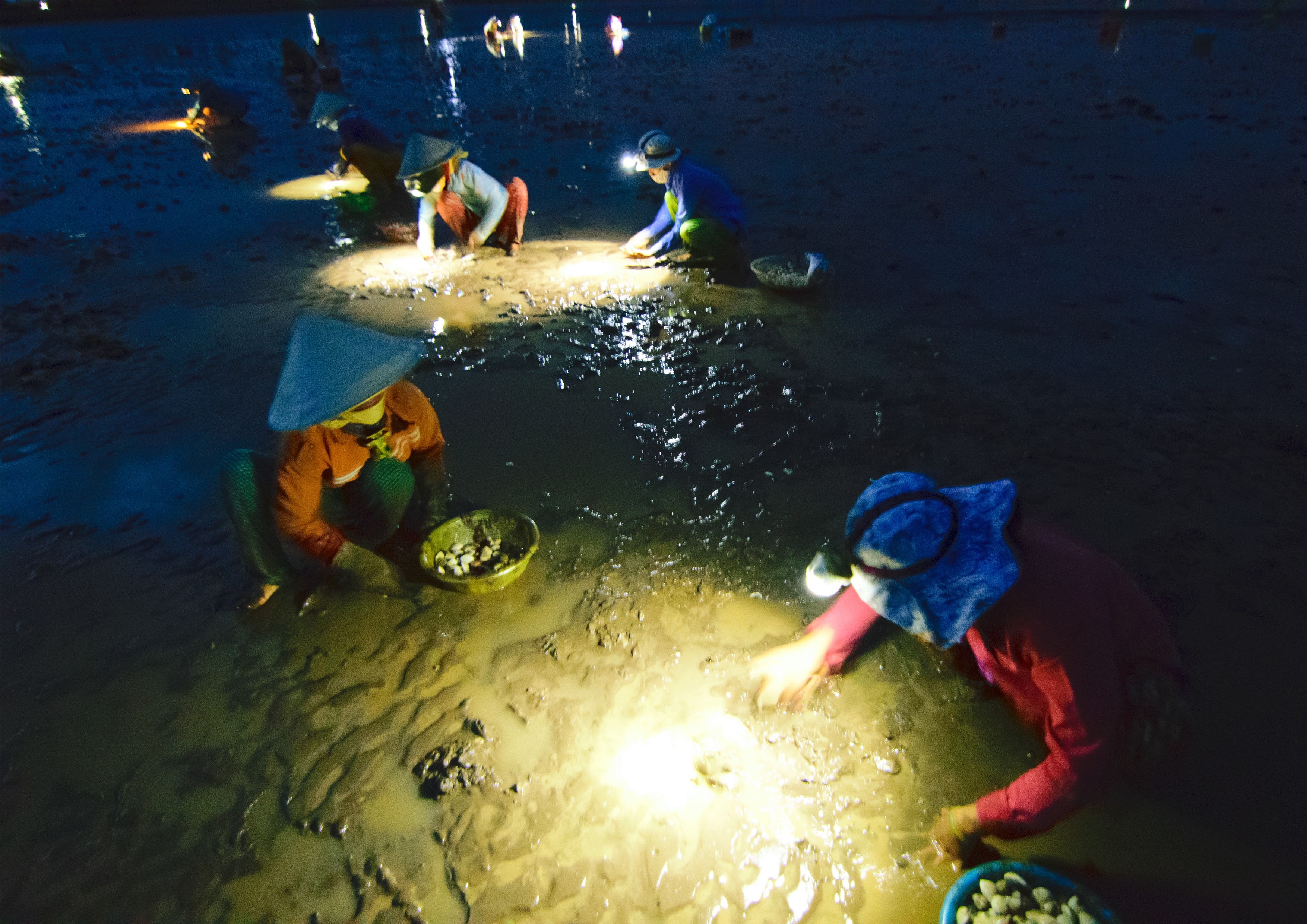 Bien Tien Giang anh 4