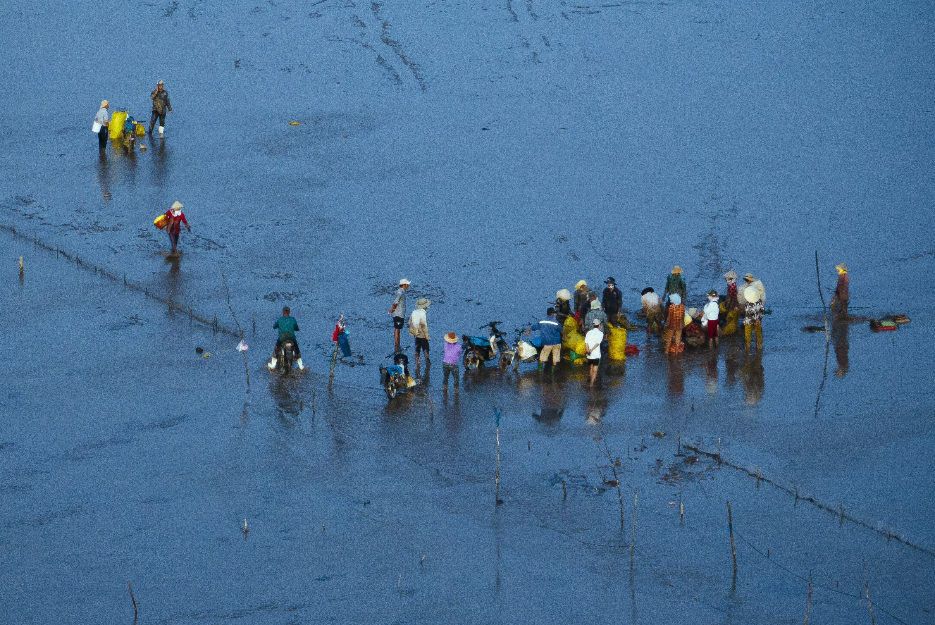 Bien Tien Giang anh 11