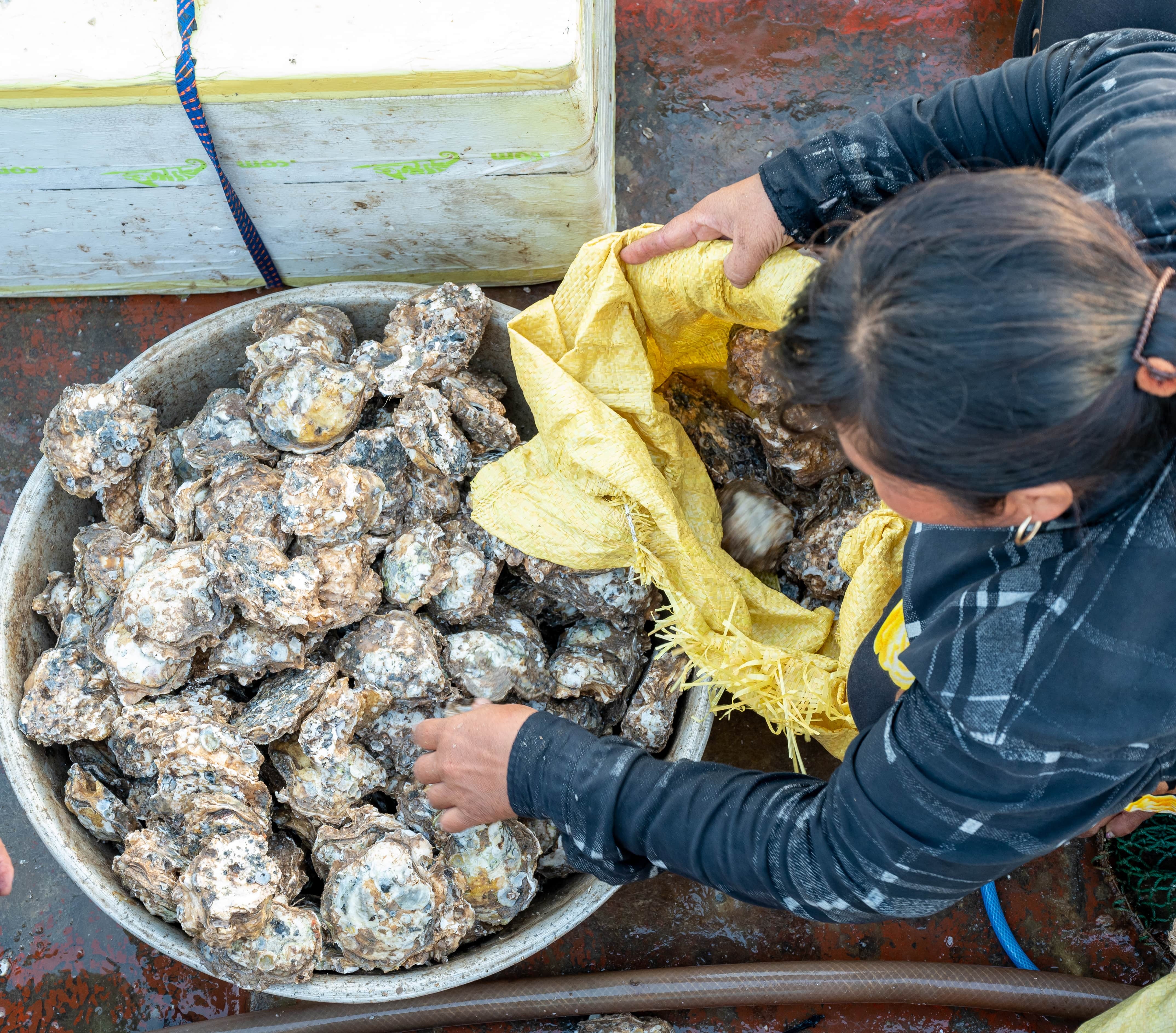 Bien Tien Giang anh 12