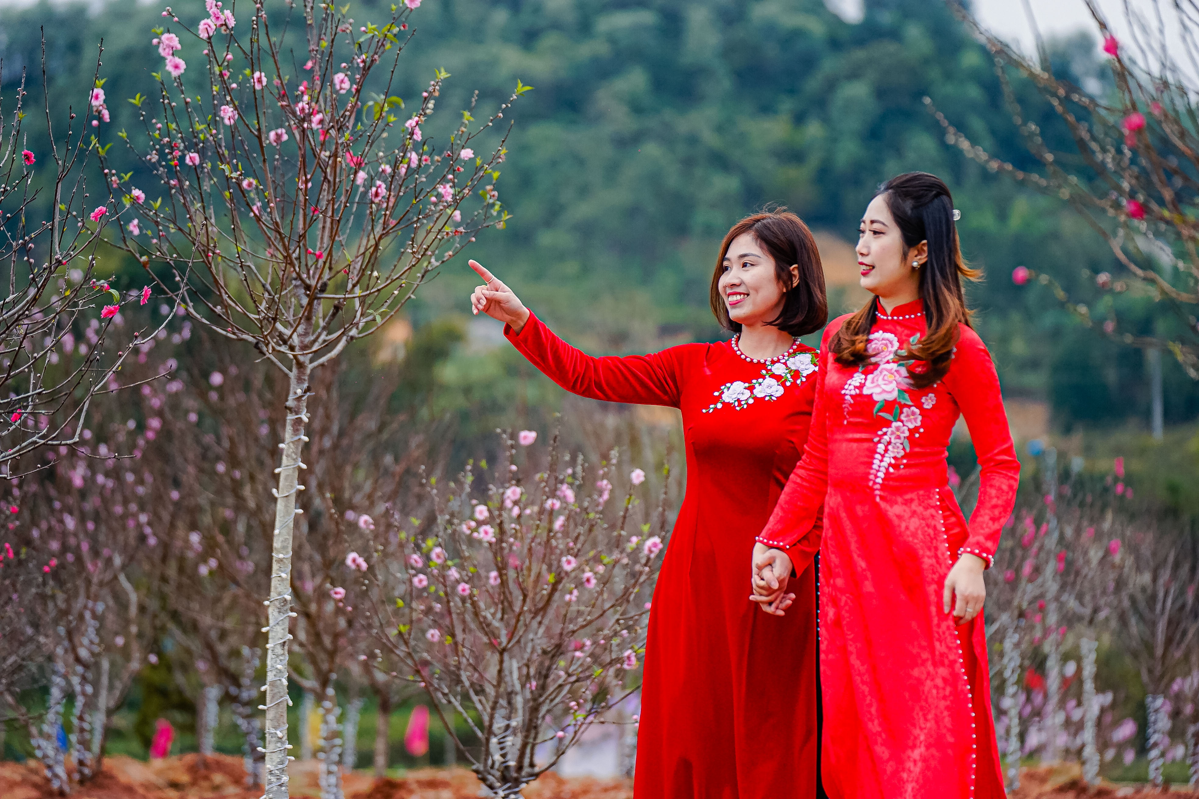 Le hoi hoa dao xu Lang 2023 tao nhieu diem nhan noi bien cuong hinh anh