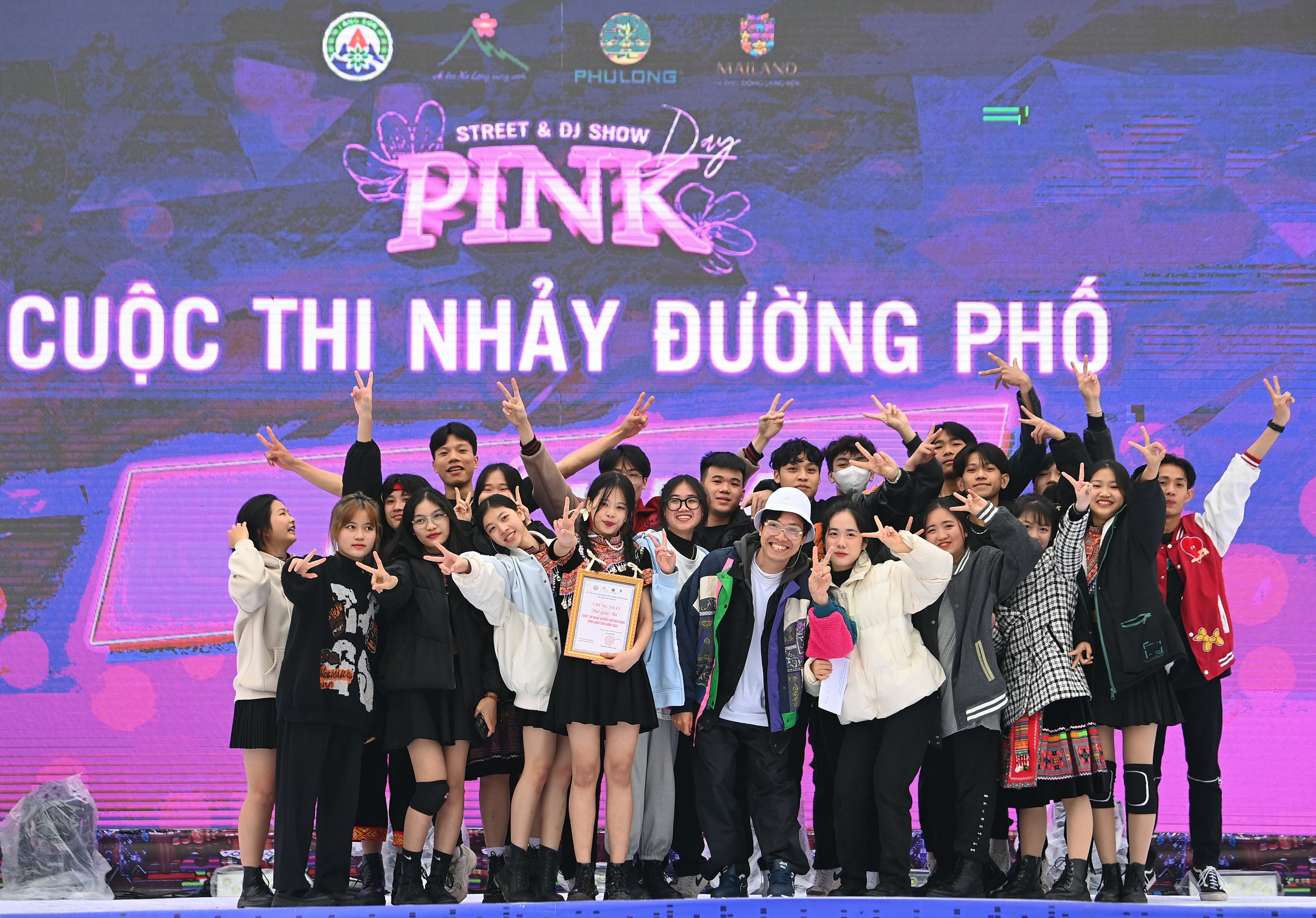 Le hoi hoa dao anh 17