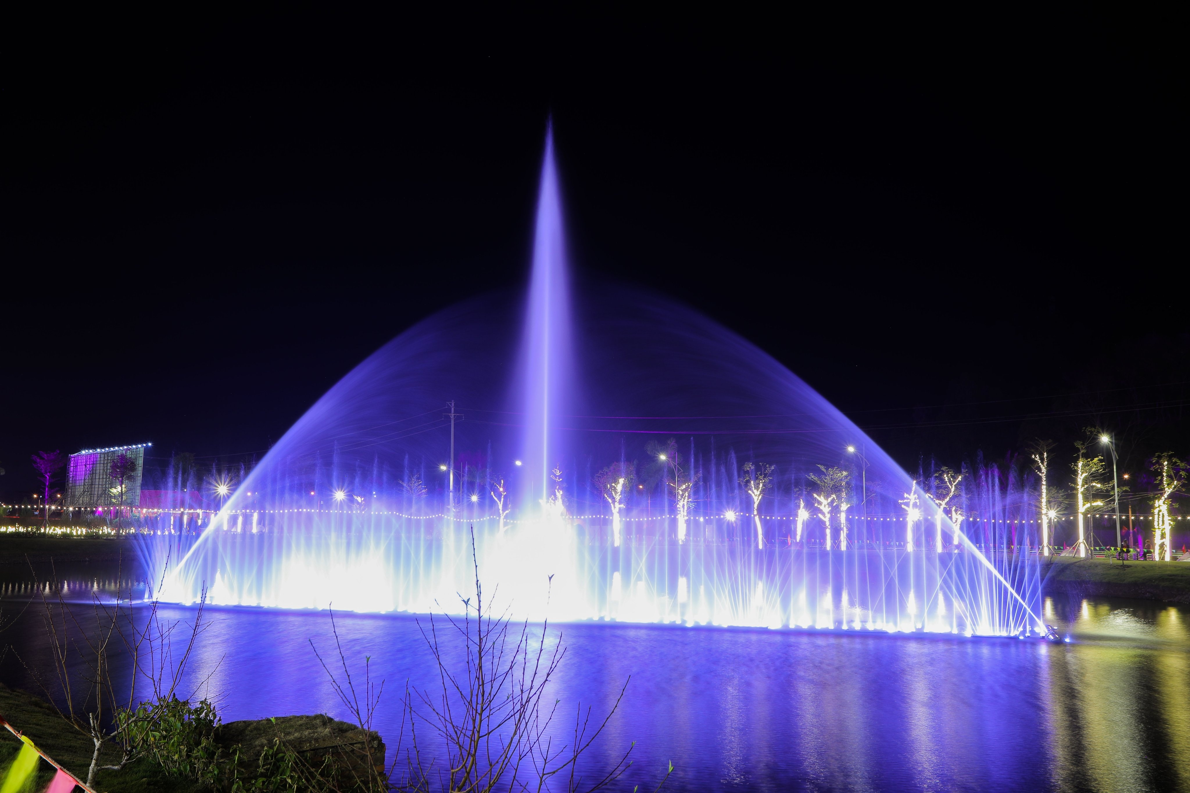 Le hoi hoa dao anh 8