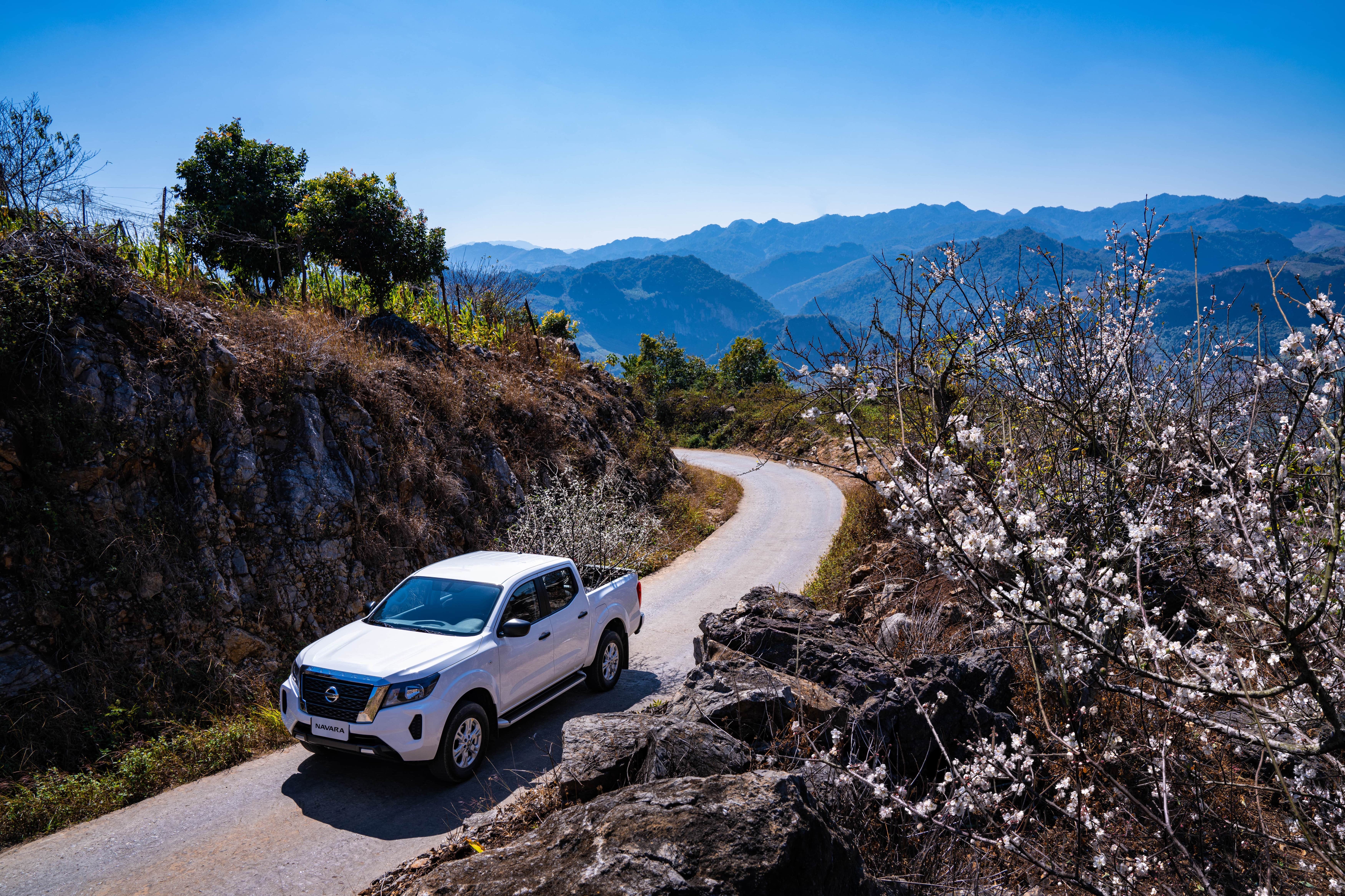 Nissan Navara EL anh 4