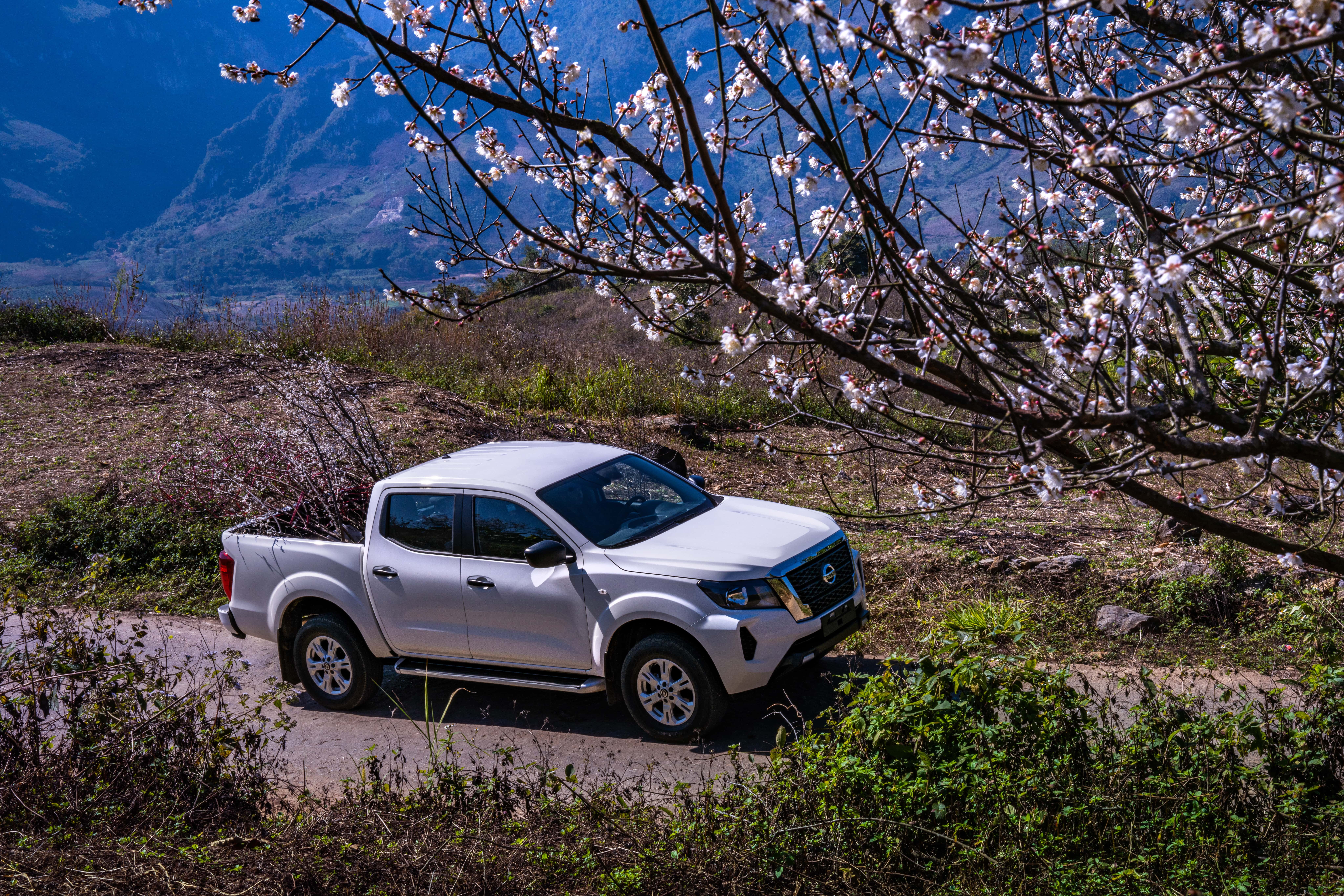 Navara EL - 'at chu bai' phan khuc ban tai cua Nissan trong nam 2023 hinh anh