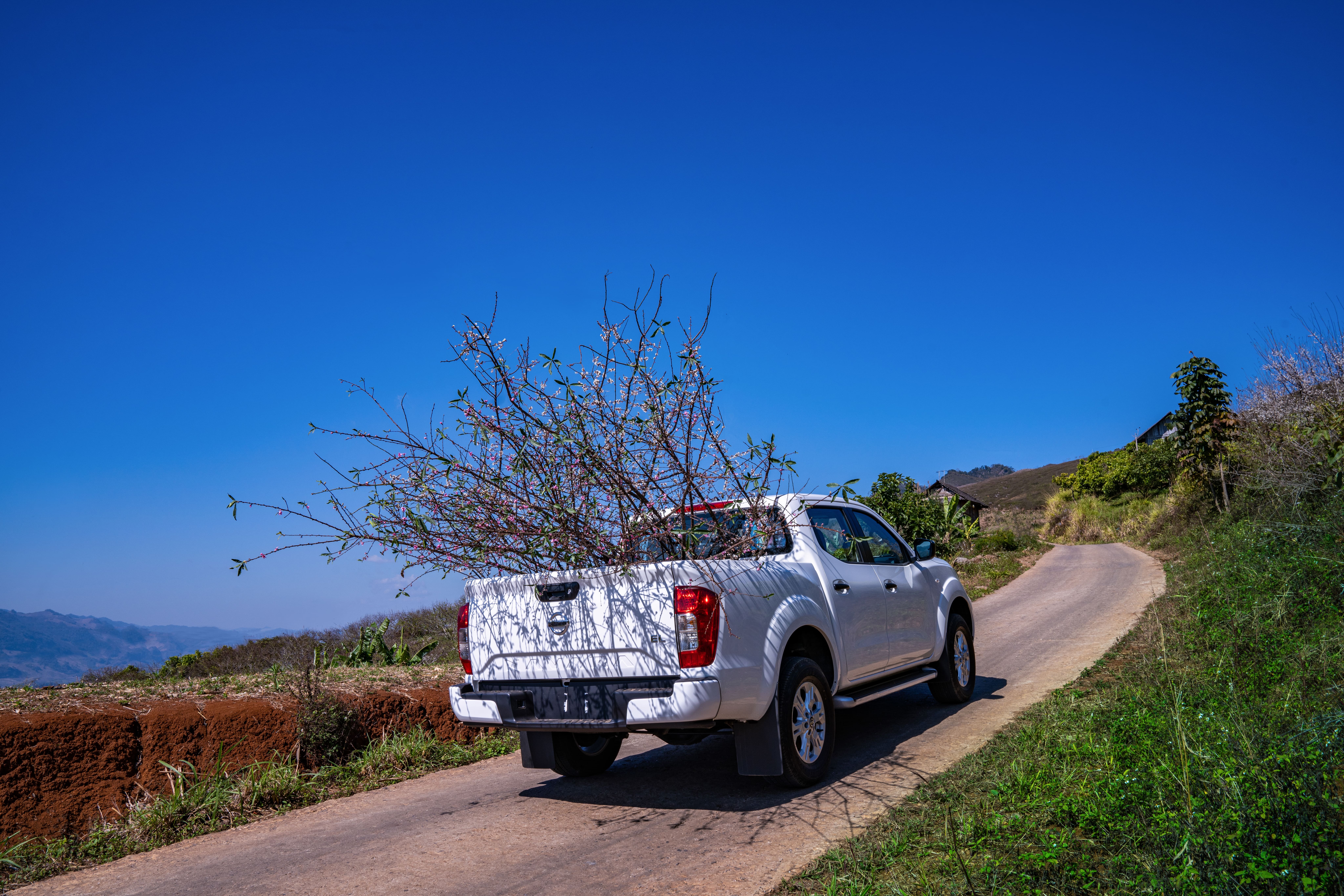 Nissan Navara EL anh 5