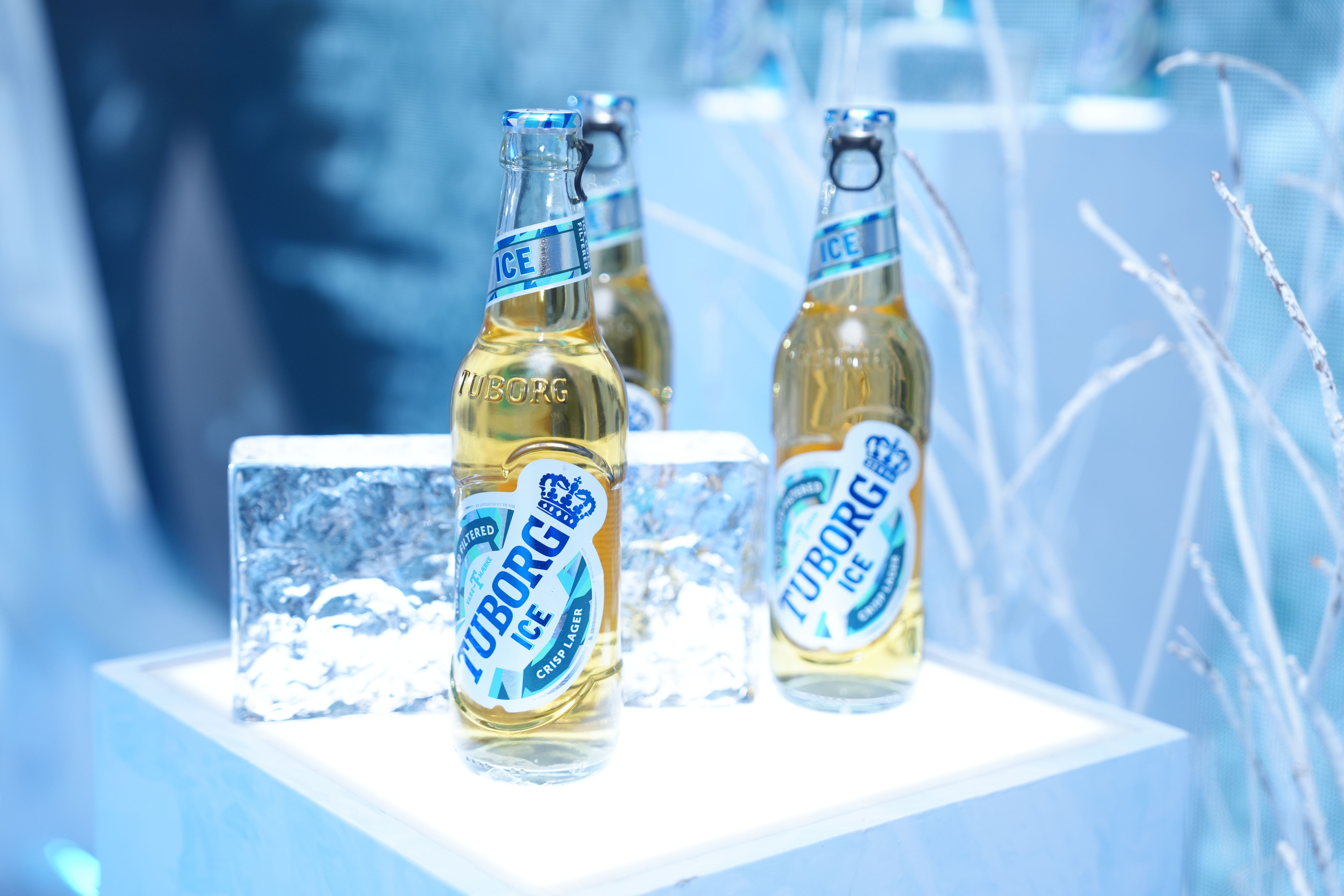 Dai nhac hoi Tuborg anh 14