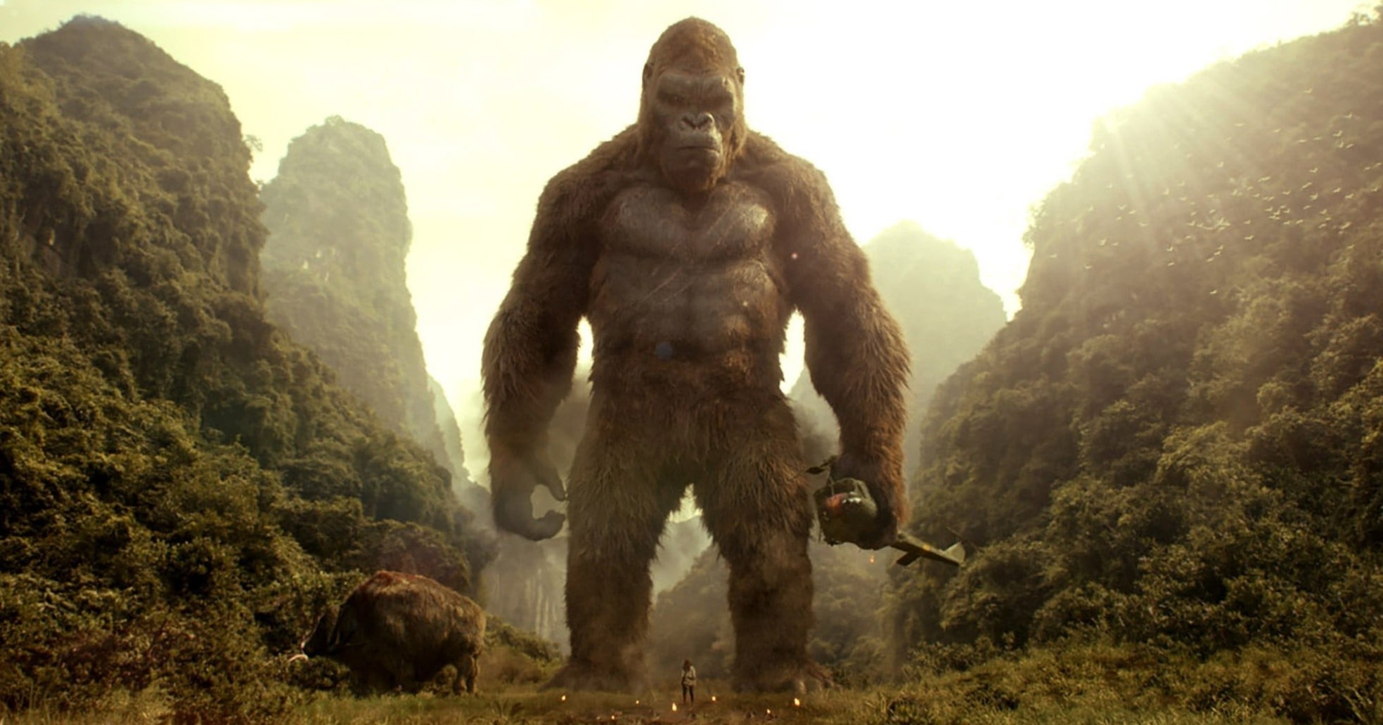 Du lịch Quảng Bình ảnh 4 Du lich Quang Binh anh 4