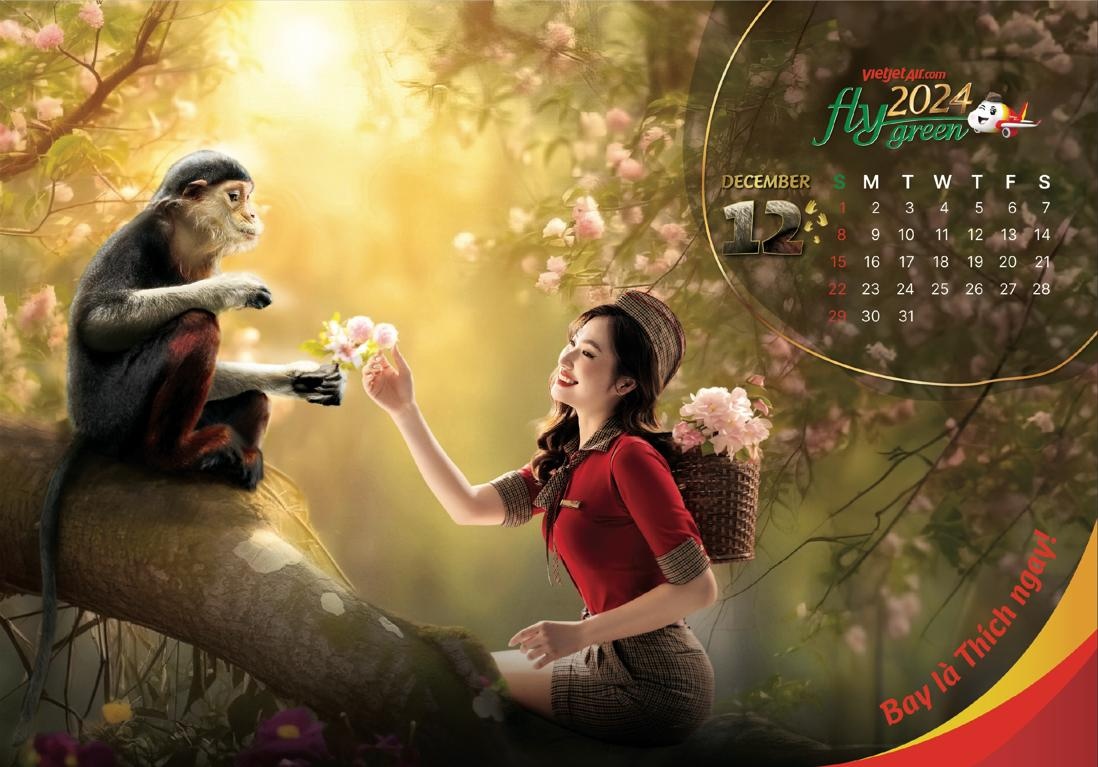 Lịch Vietjet ảnh 12 Lich Vietjet anh 12
