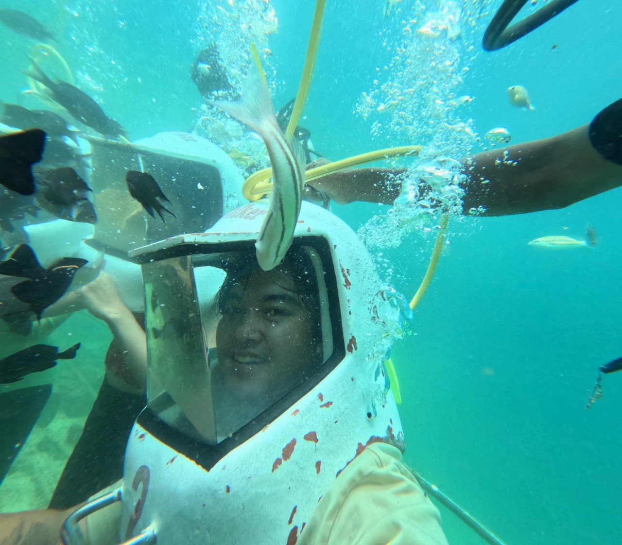 Feel Sabah ảnh 2 Feel Sabah anh 2