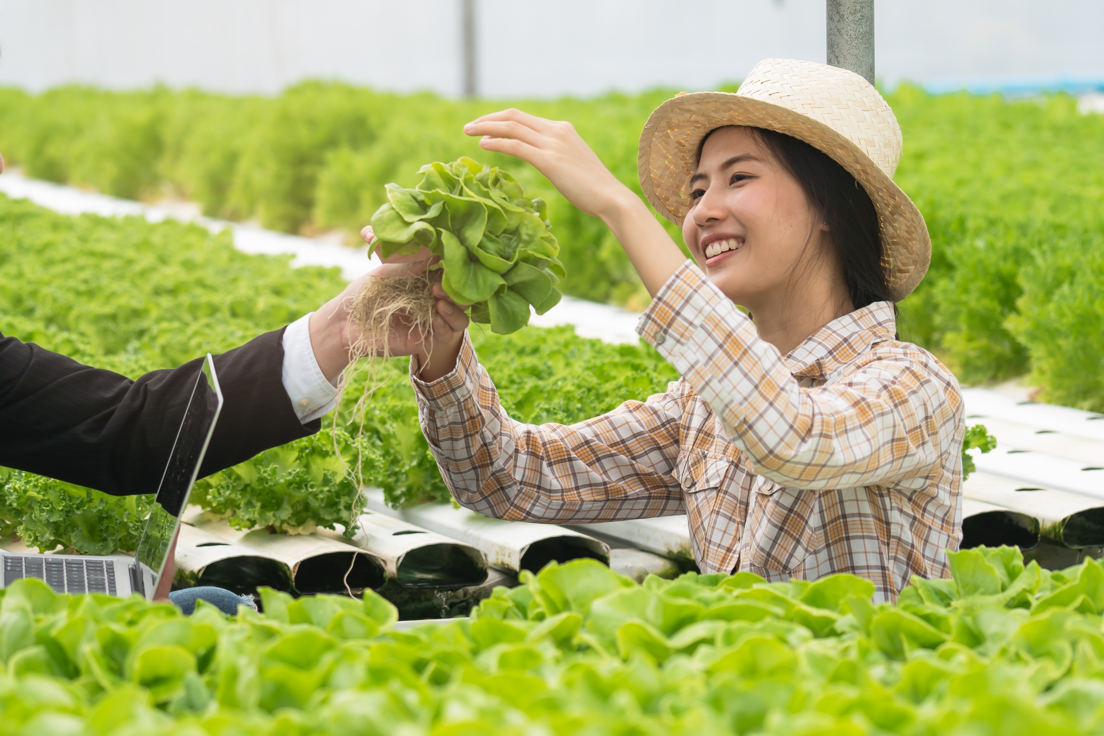 HDBank Nong thon anh 2