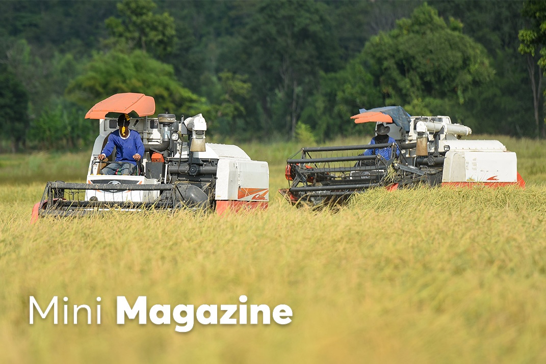 Viet Nam so huu loi the de phat trien mo hinh nong nghiep huu co hinh anh