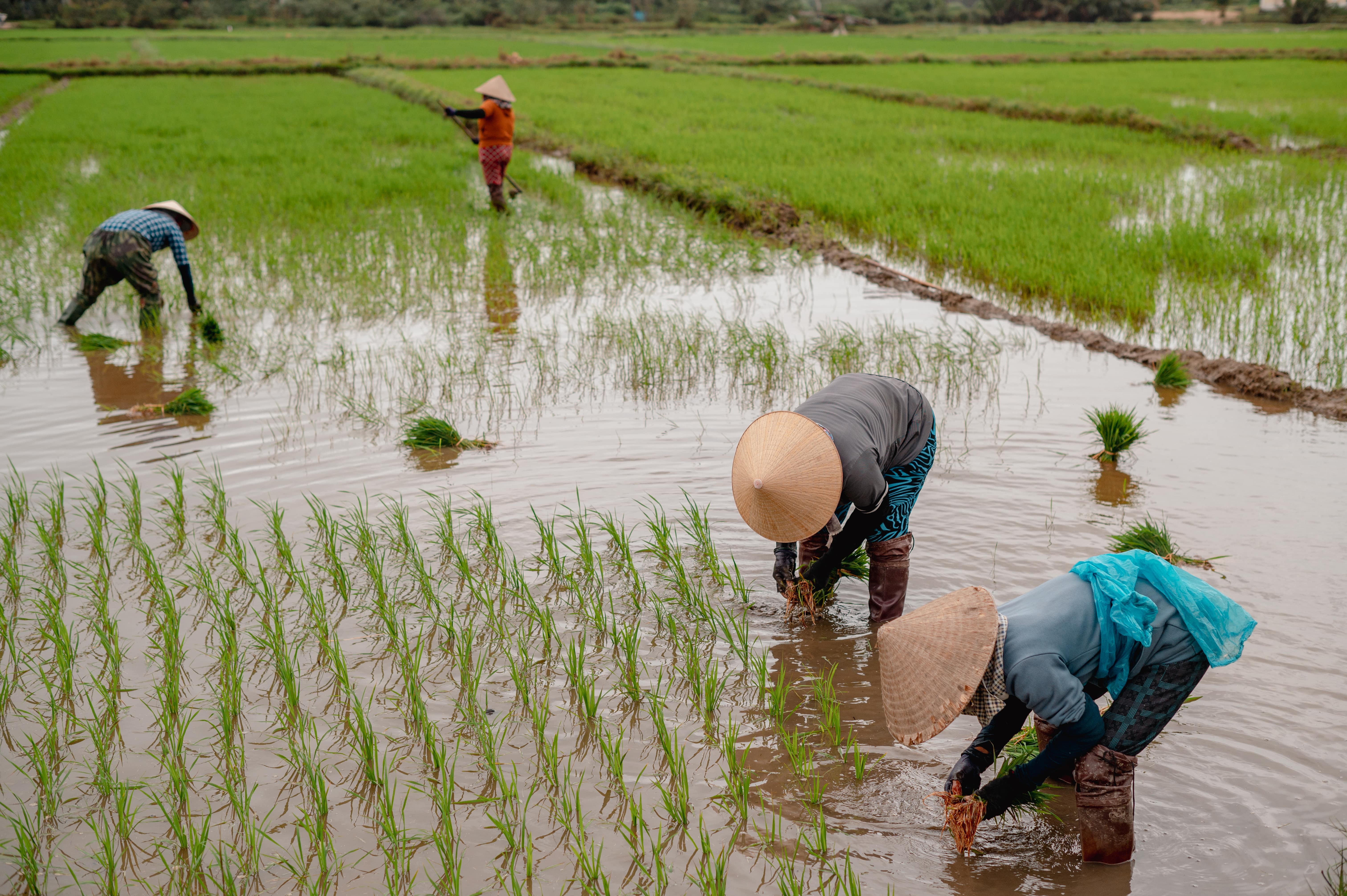 HDBank Nông thôn ảnh 3 HDBank Nong thon anh 3