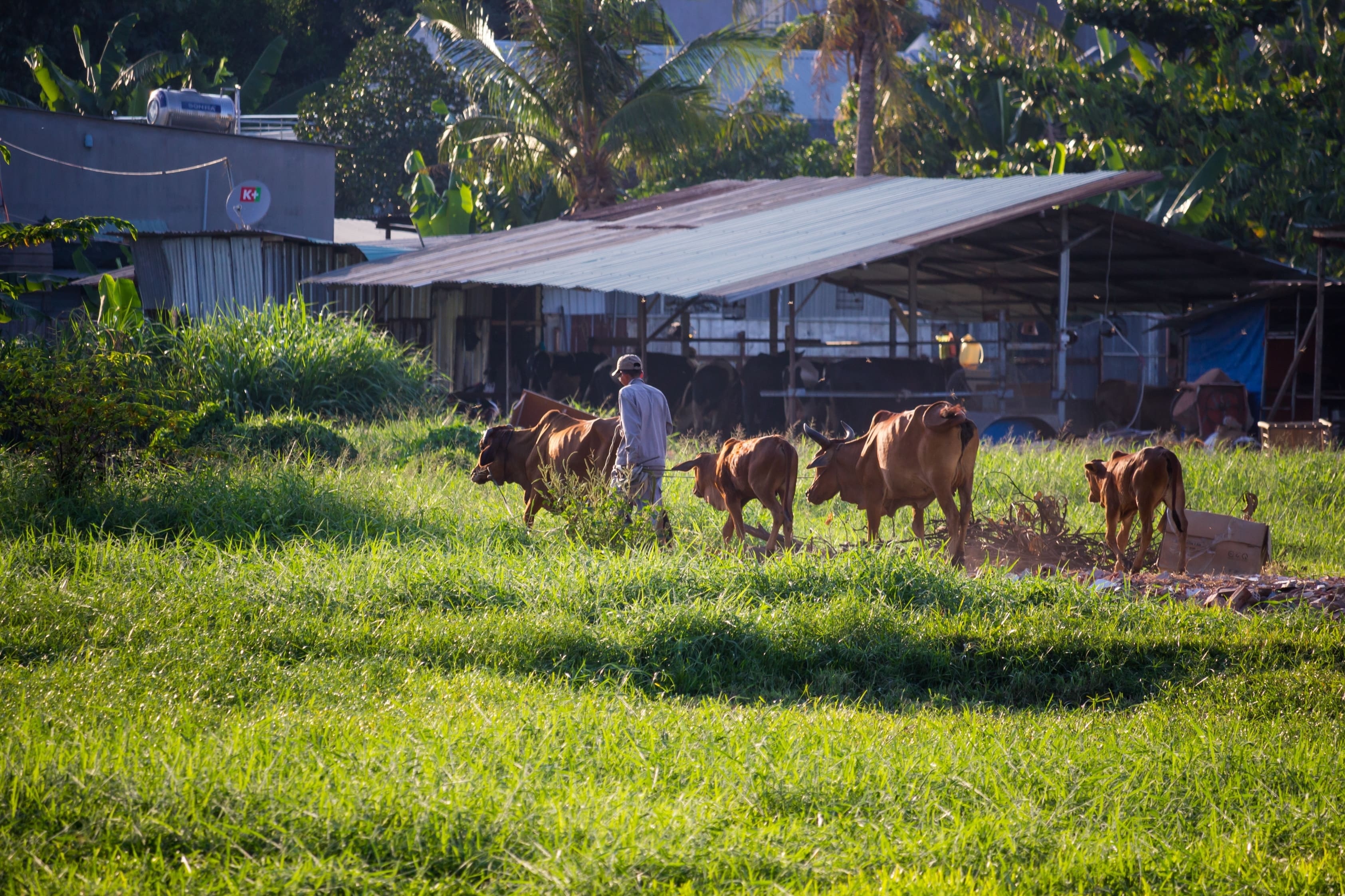 HDBank Nông thôn ảnh 2 HDBank Nong thon anh 2