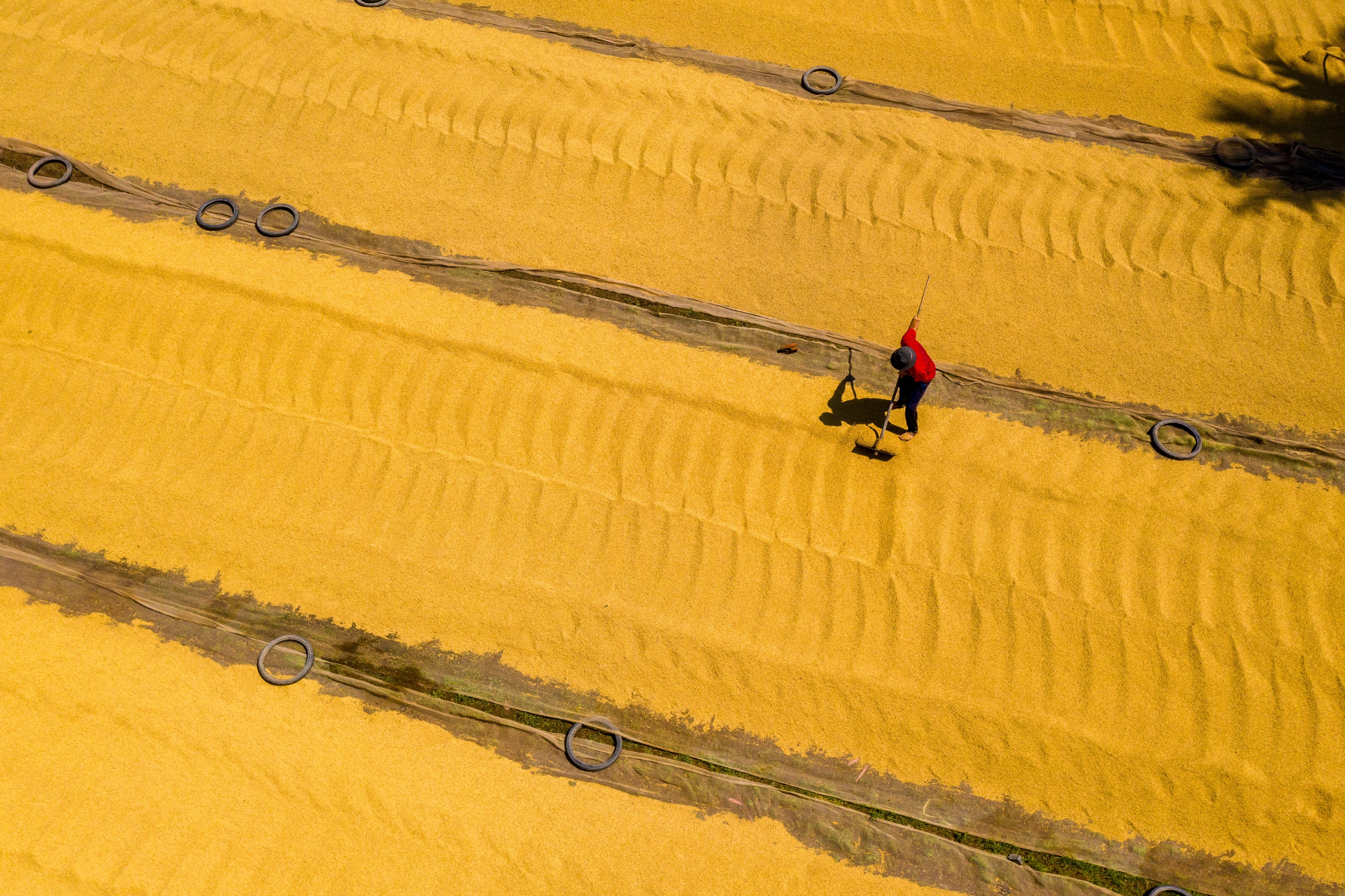 HDBank Nong thon anh 5