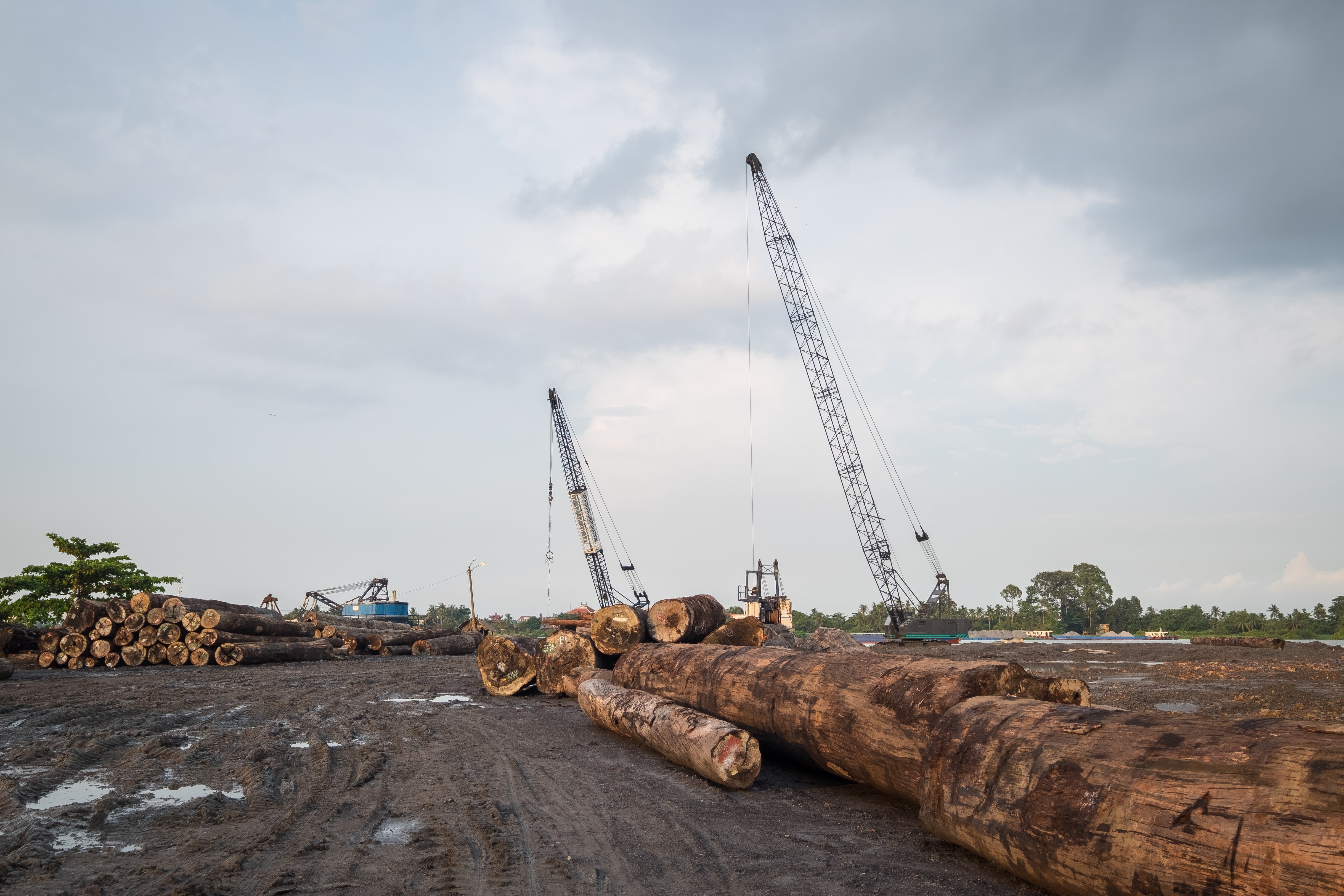 Nong nghiep Viet 2024 anh 7