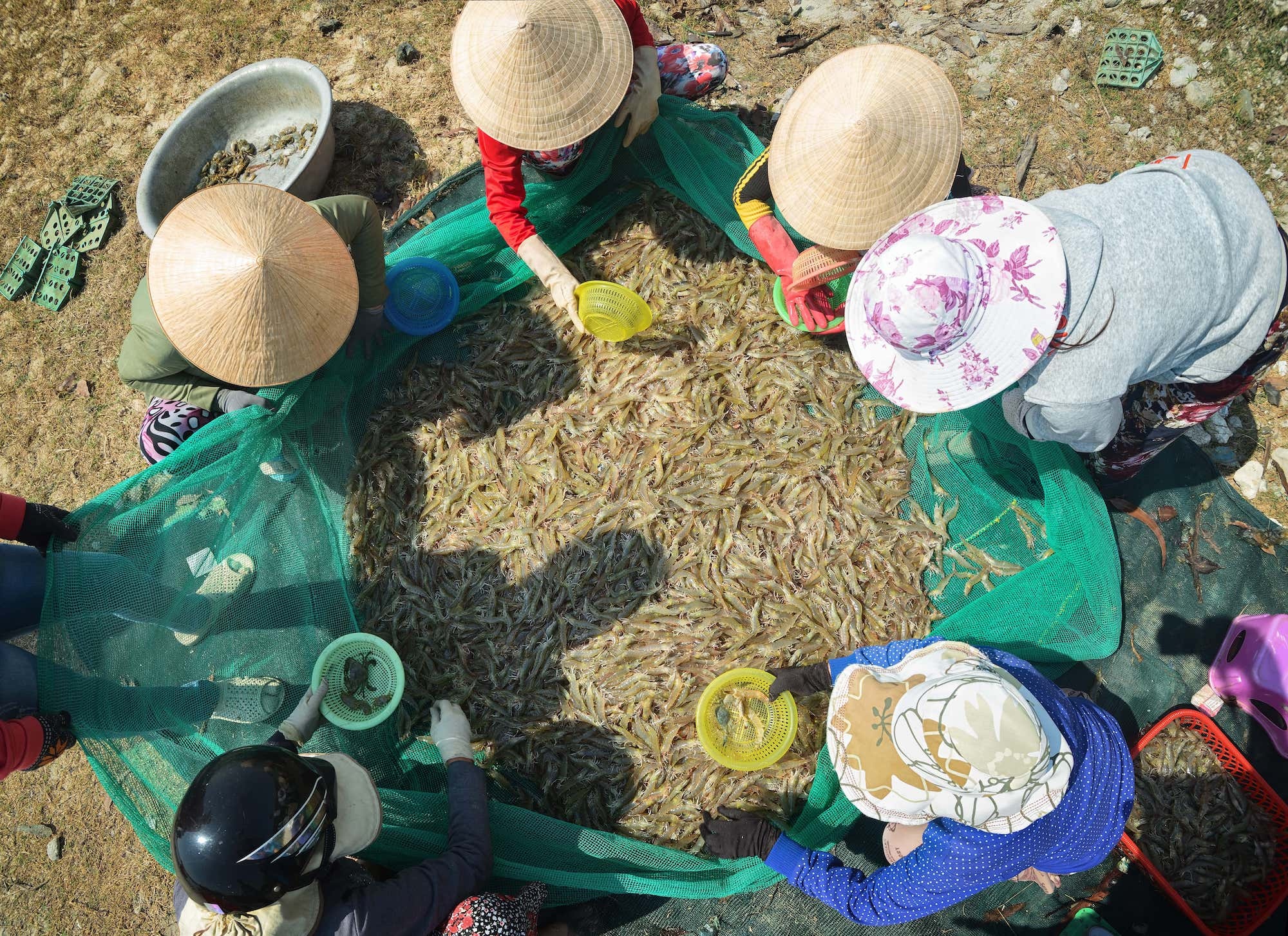 Nong nghiep Viet 2024 anh 2