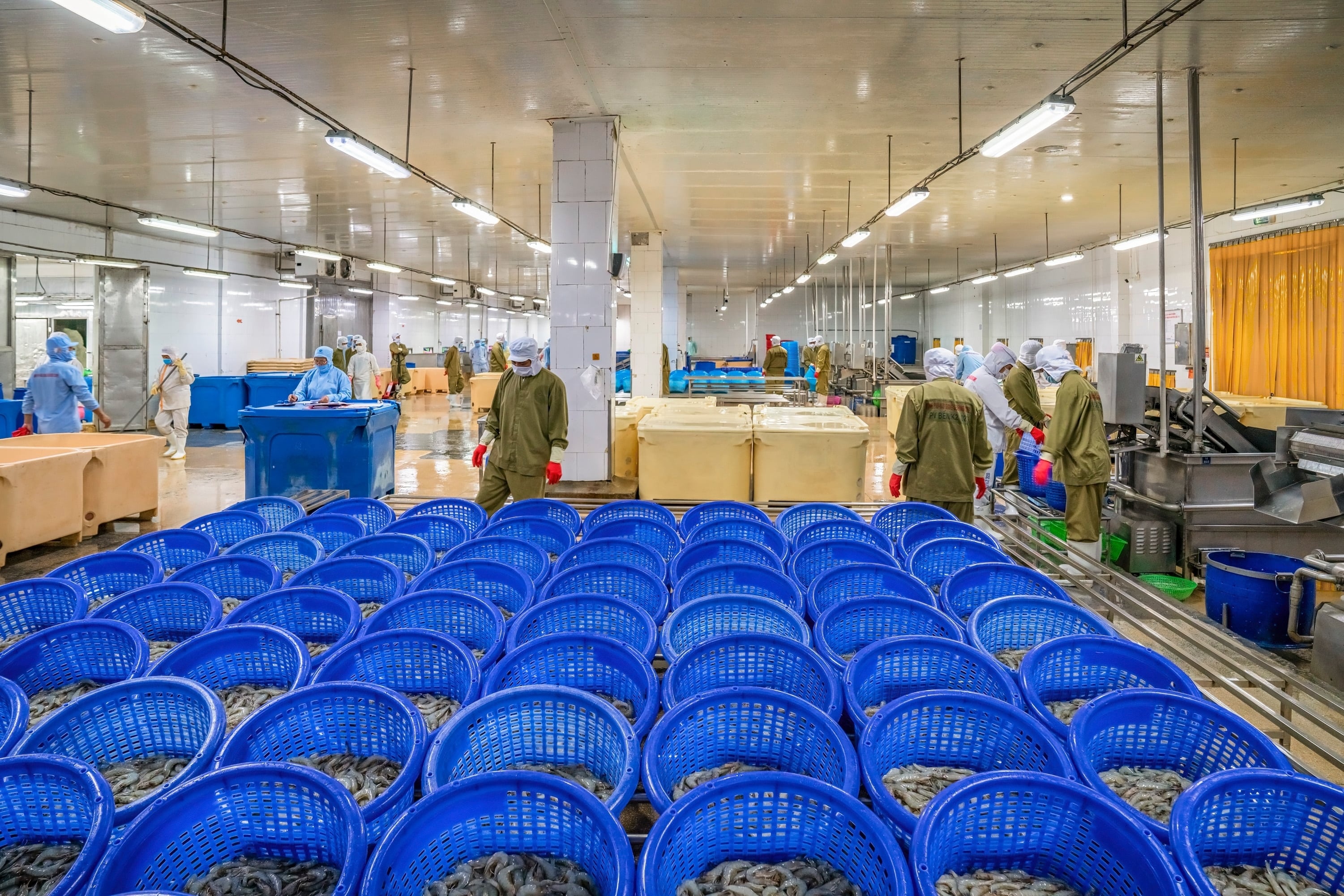 Nong nghiep Viet 2024 anh 3