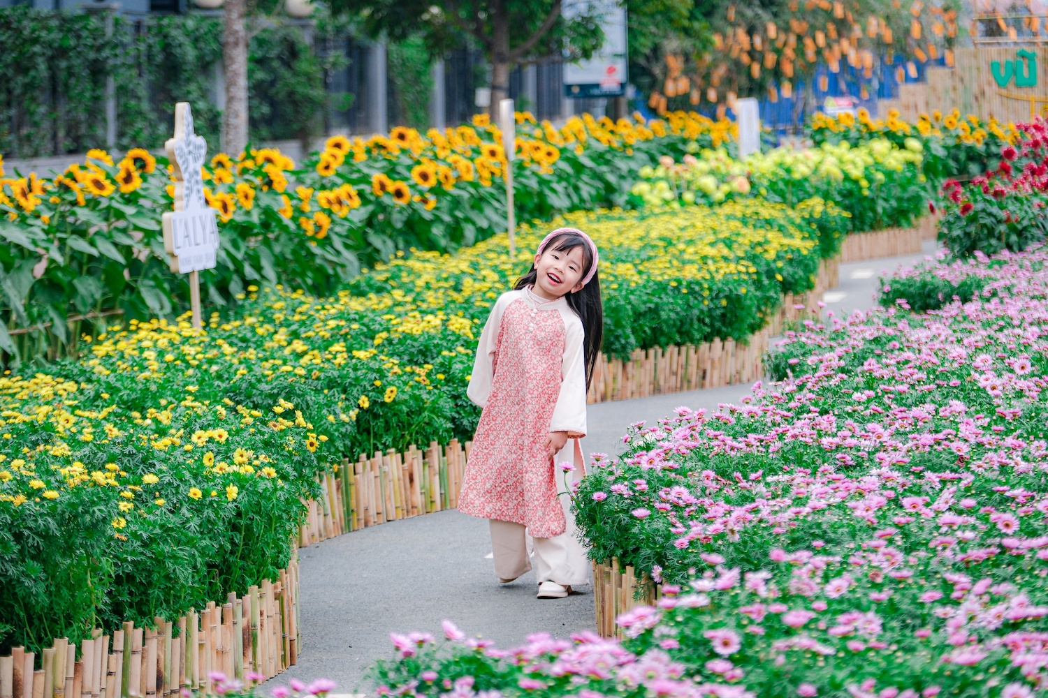 Home Hanoi Xuan ảnh 16 Home Hanoi Xuan anh 16