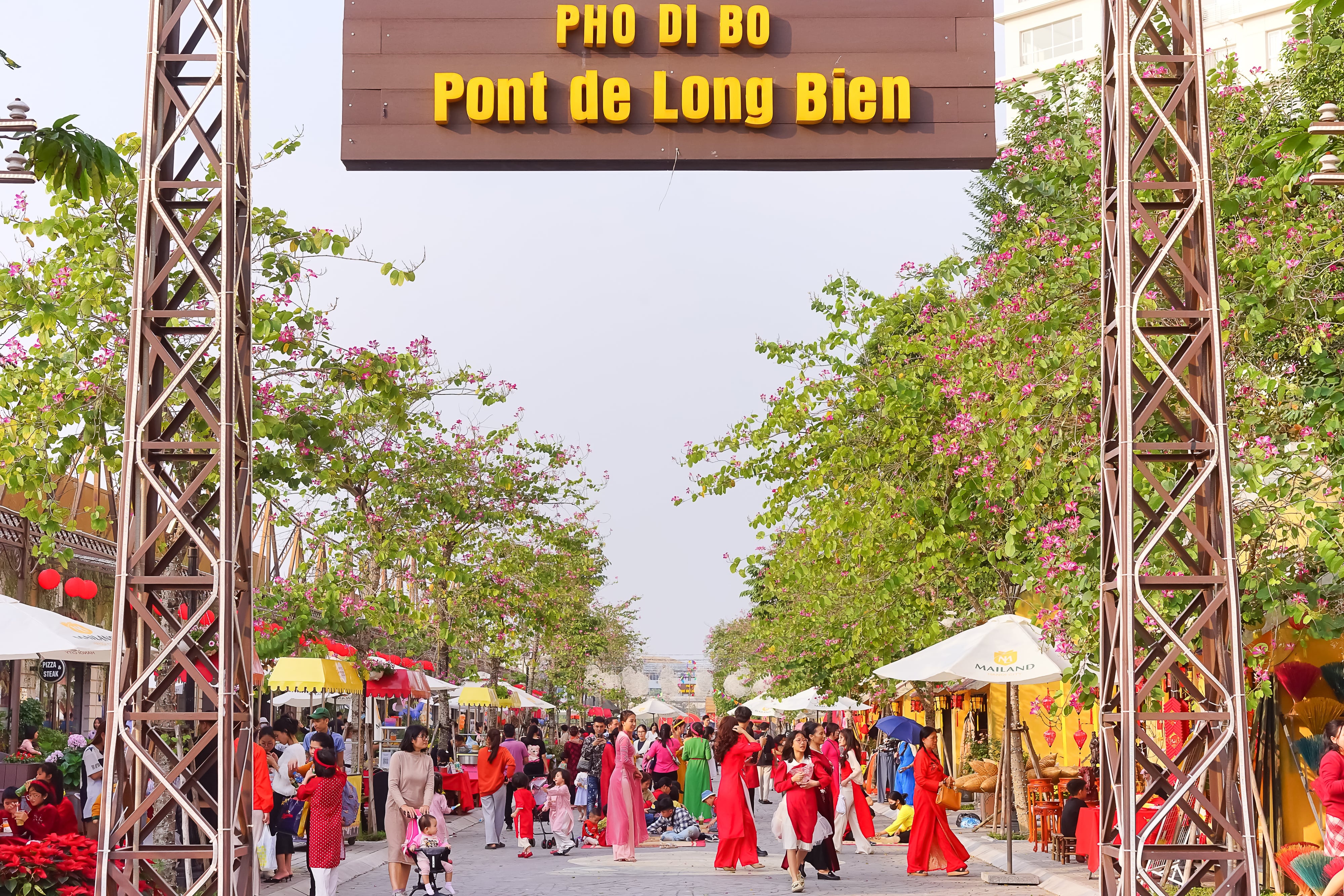 Home Hanoi Xuan anh 12