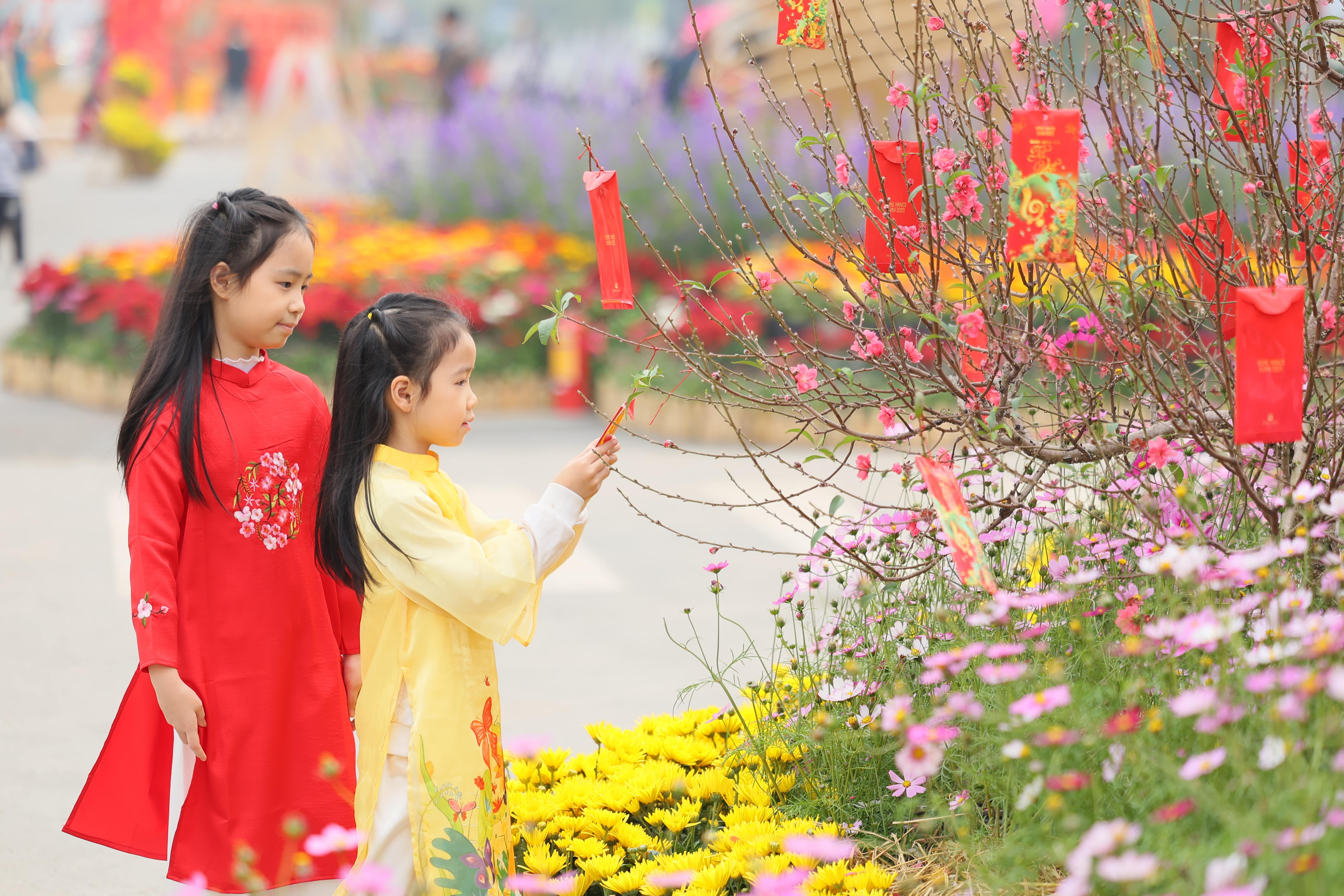 Home Hanoi Xuan anh 5